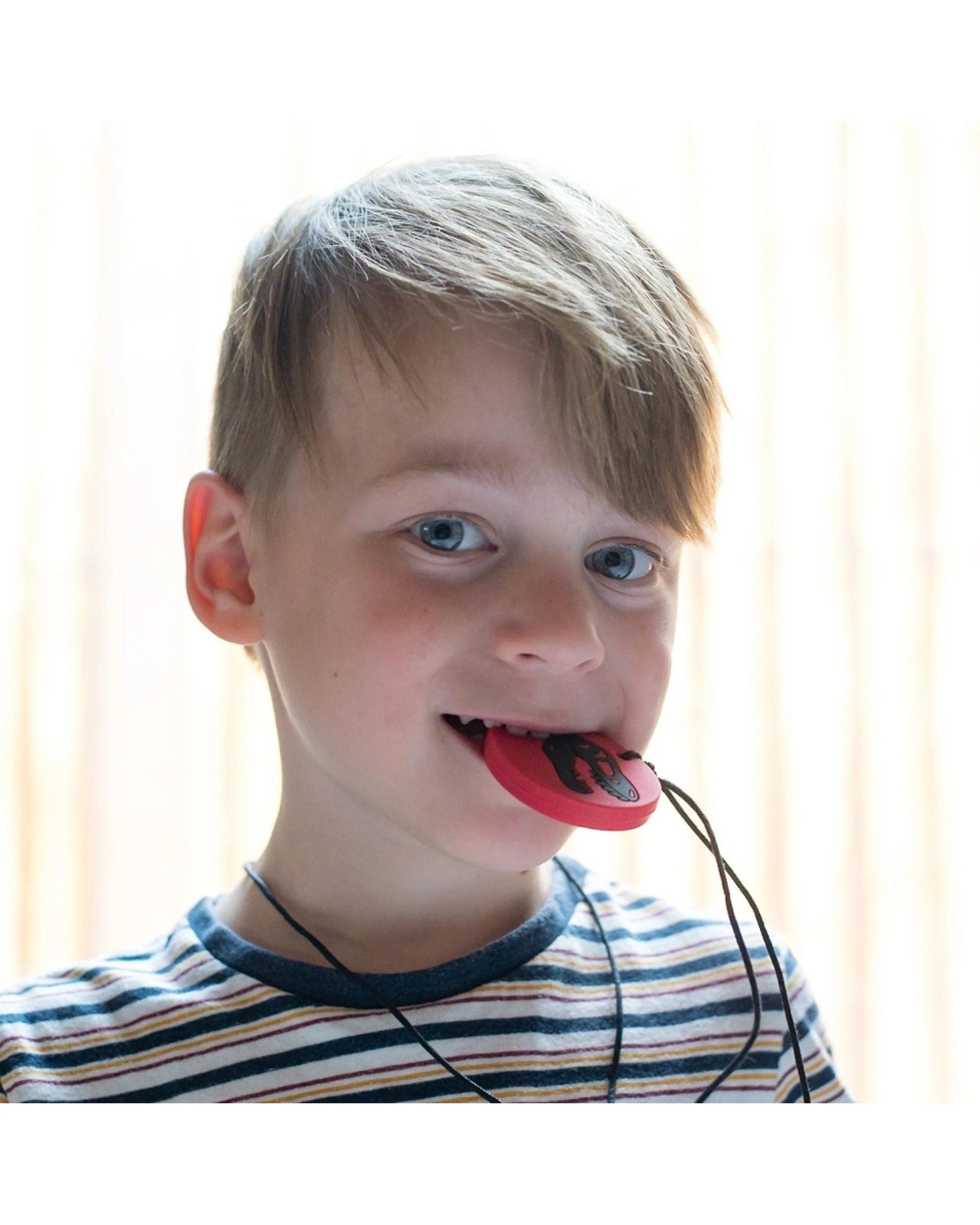 2 Jellystone Designs Kids Dino Sensory Pendant Medium Chew Necklace - Red, 2 of 2