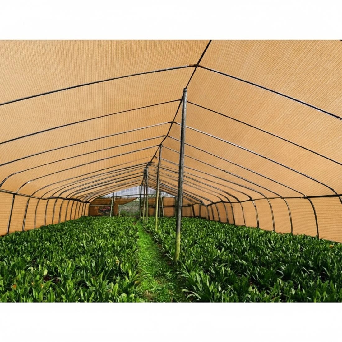 4 Instahut 70% Shade Cloth 1.83x50m Shadecloth Sail Heavy Duty - Beige, 4 of 5