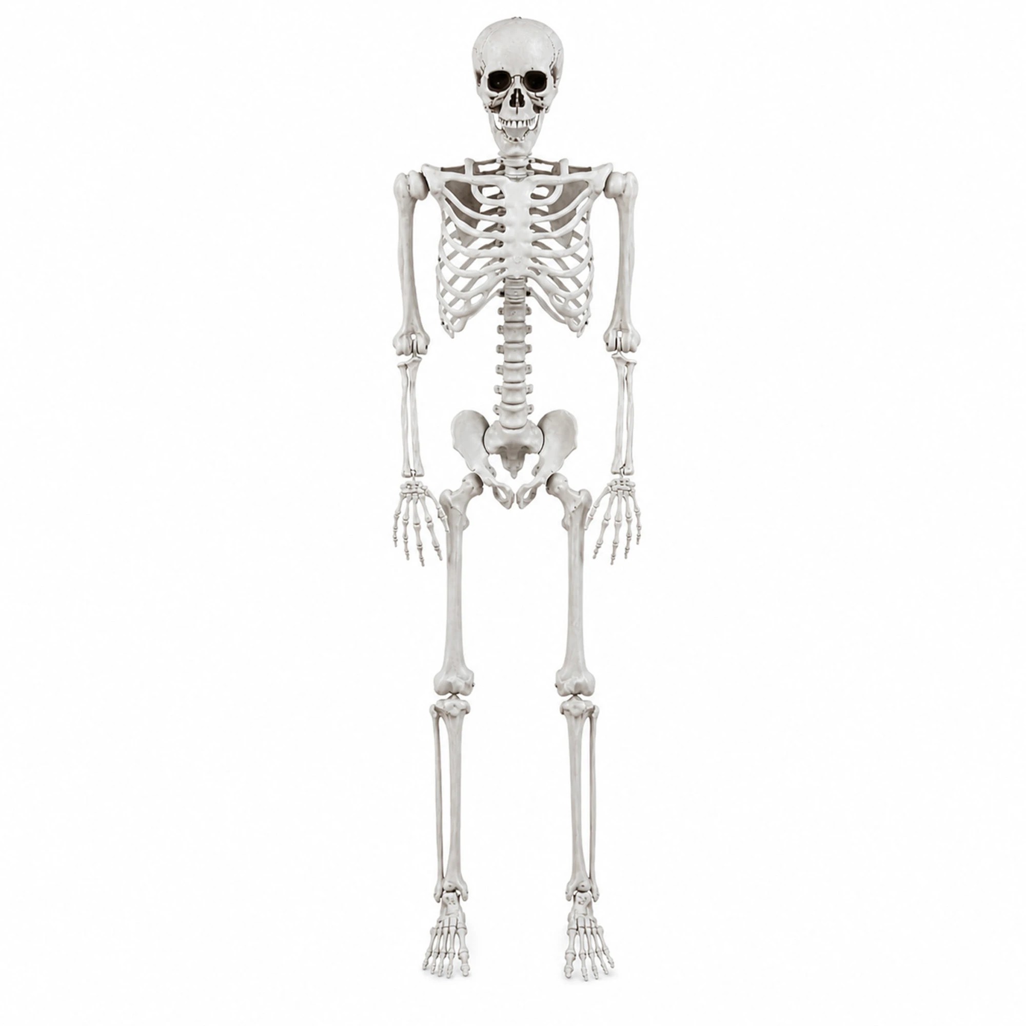 4 Yezi Halloween Decorations Skeleton 169cm Life Size Posable ABS White, 4 of 8