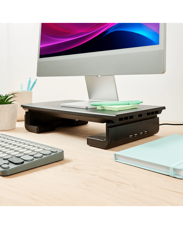 Monitor Stand with USB