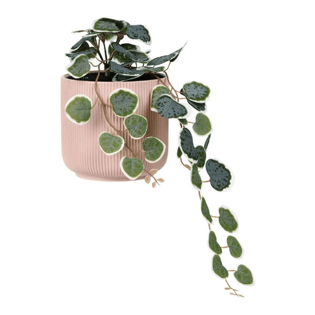 1 Otto Ribbed Hanging Planter with Plant Pink, 1 of 3