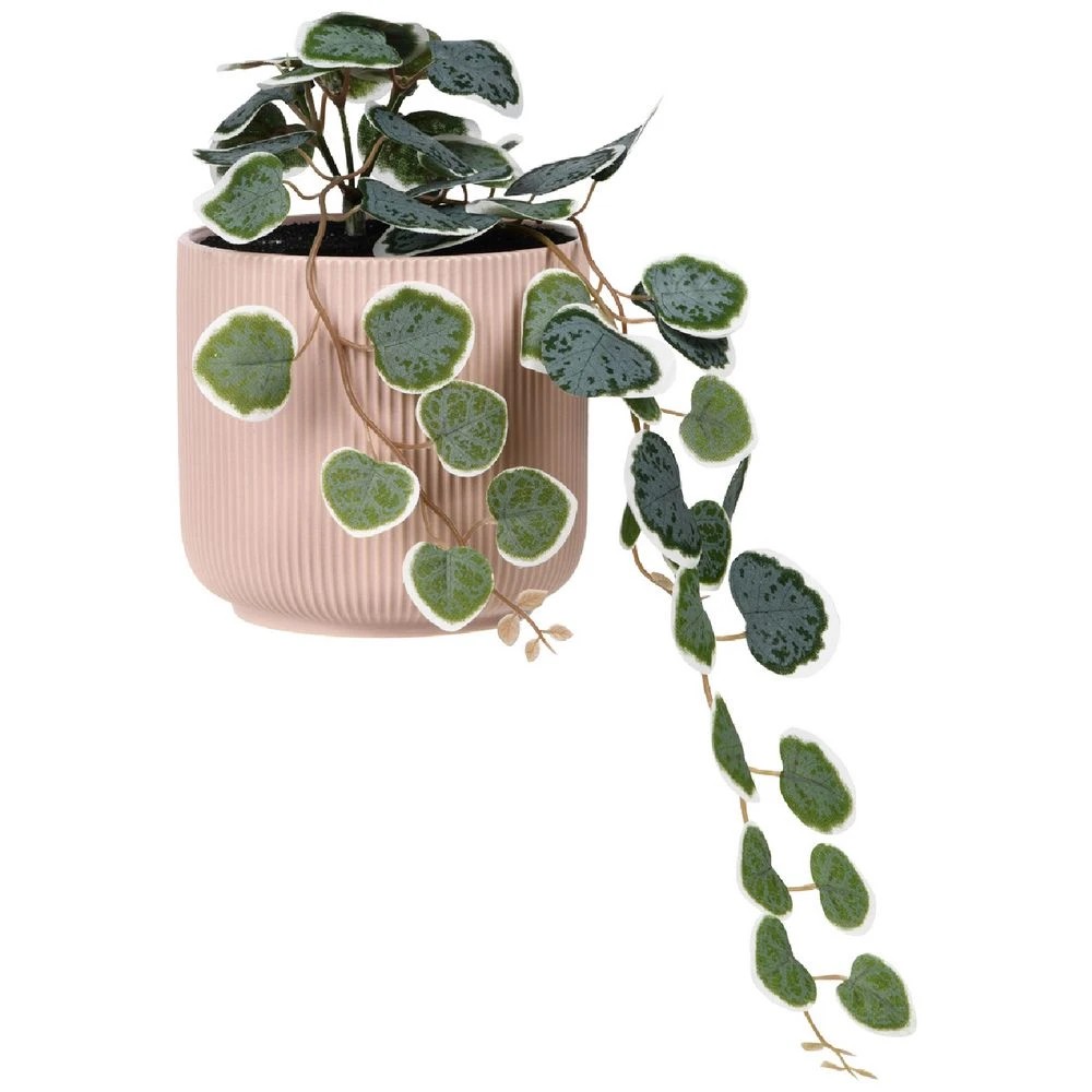 1 Otto Ribbed Hanging Planter with Plant Pink, 1 of 3
