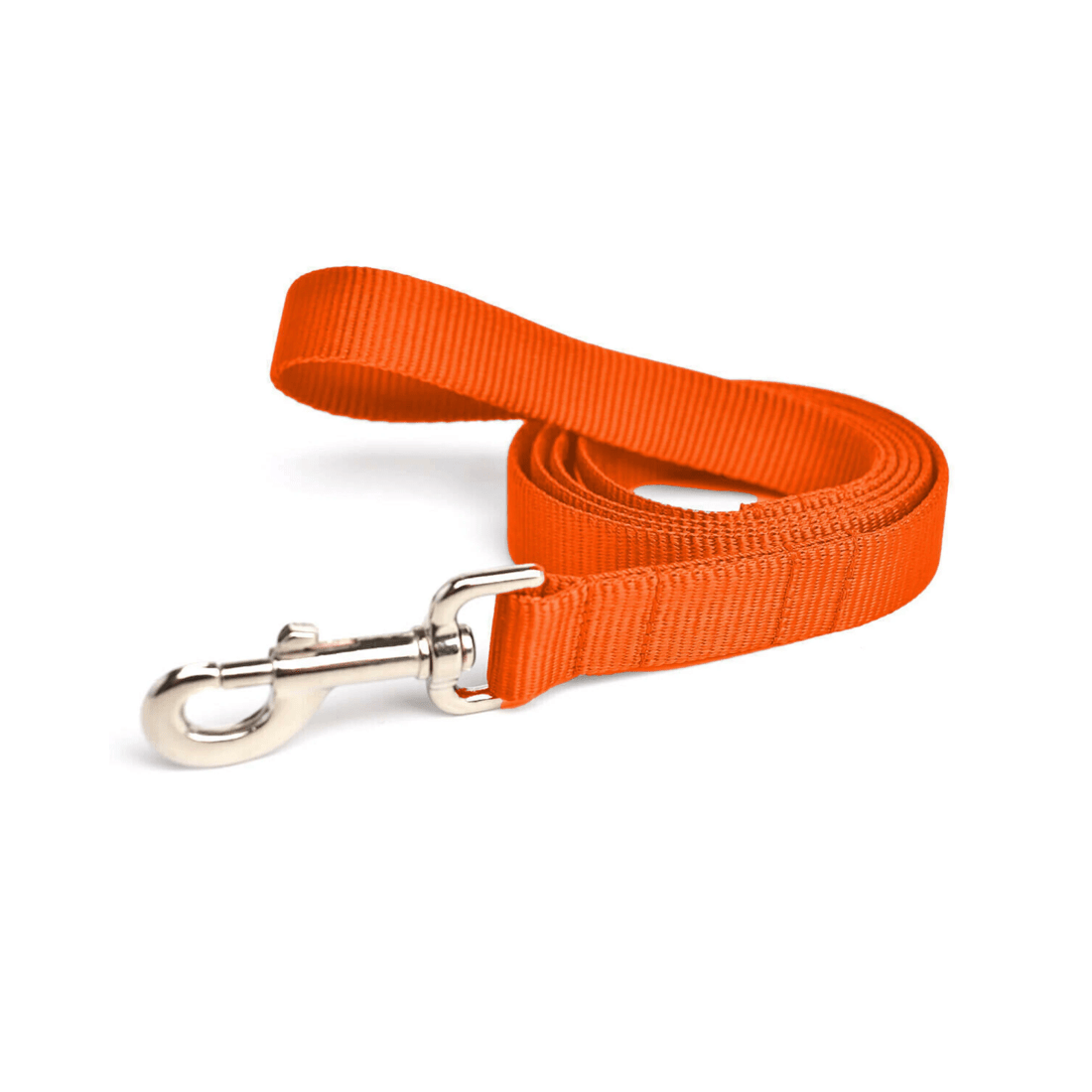 5 BR Pets Nylon Dog Leash for Training and Obedience, 5 of 8