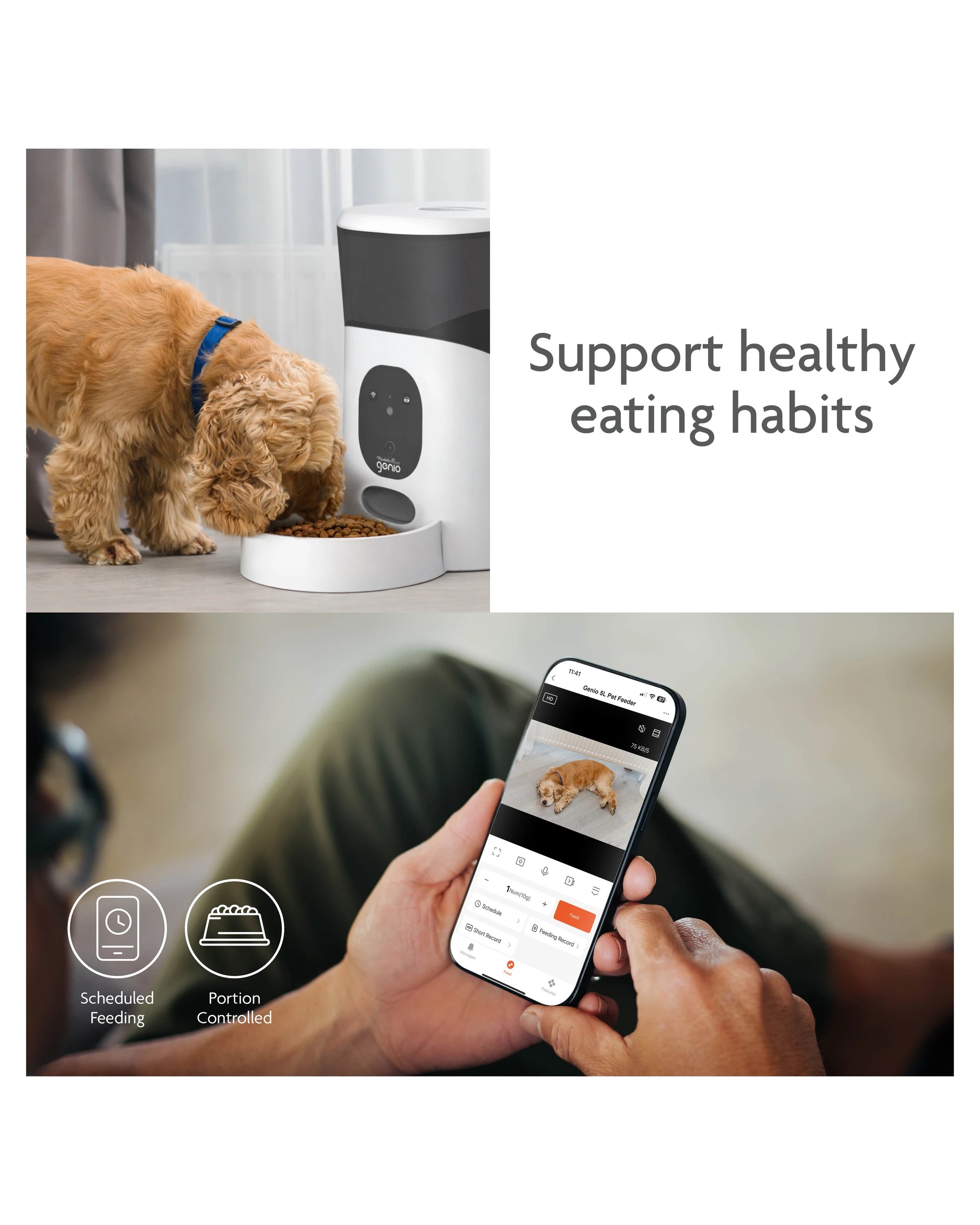 8 5L Pet Feeder with Camera, 8 of 9