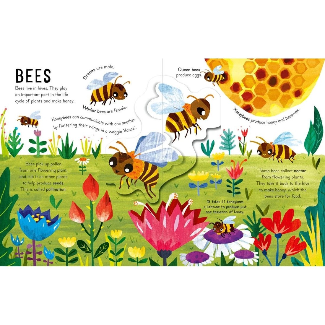 2 Curious Kids: Bugs and Minibeasts by Jonny Marx - Book, 2 of 2