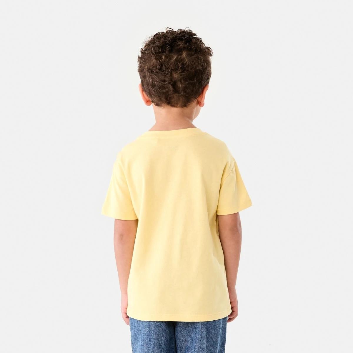 2 Chest Print T-shirt WILD ONES TIGER WASHED YELLOW, 2 of 6