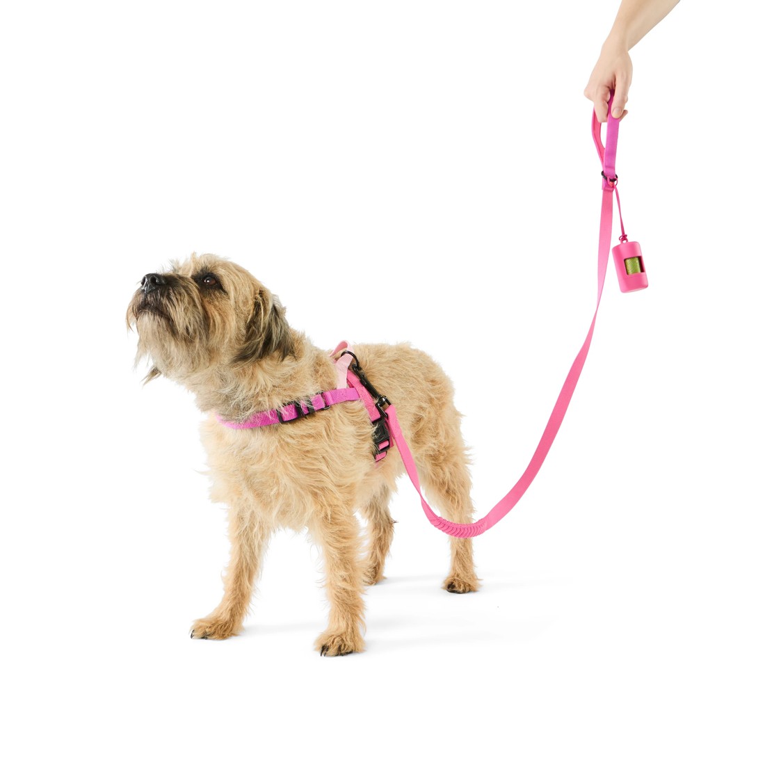 1 Pet Walking Set - Small, Pink, 1 of 5