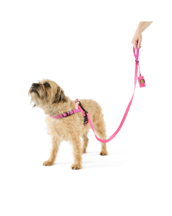 Pet Walking Set - Small, Pink