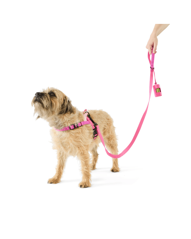 Pet Walking Set - Small, 