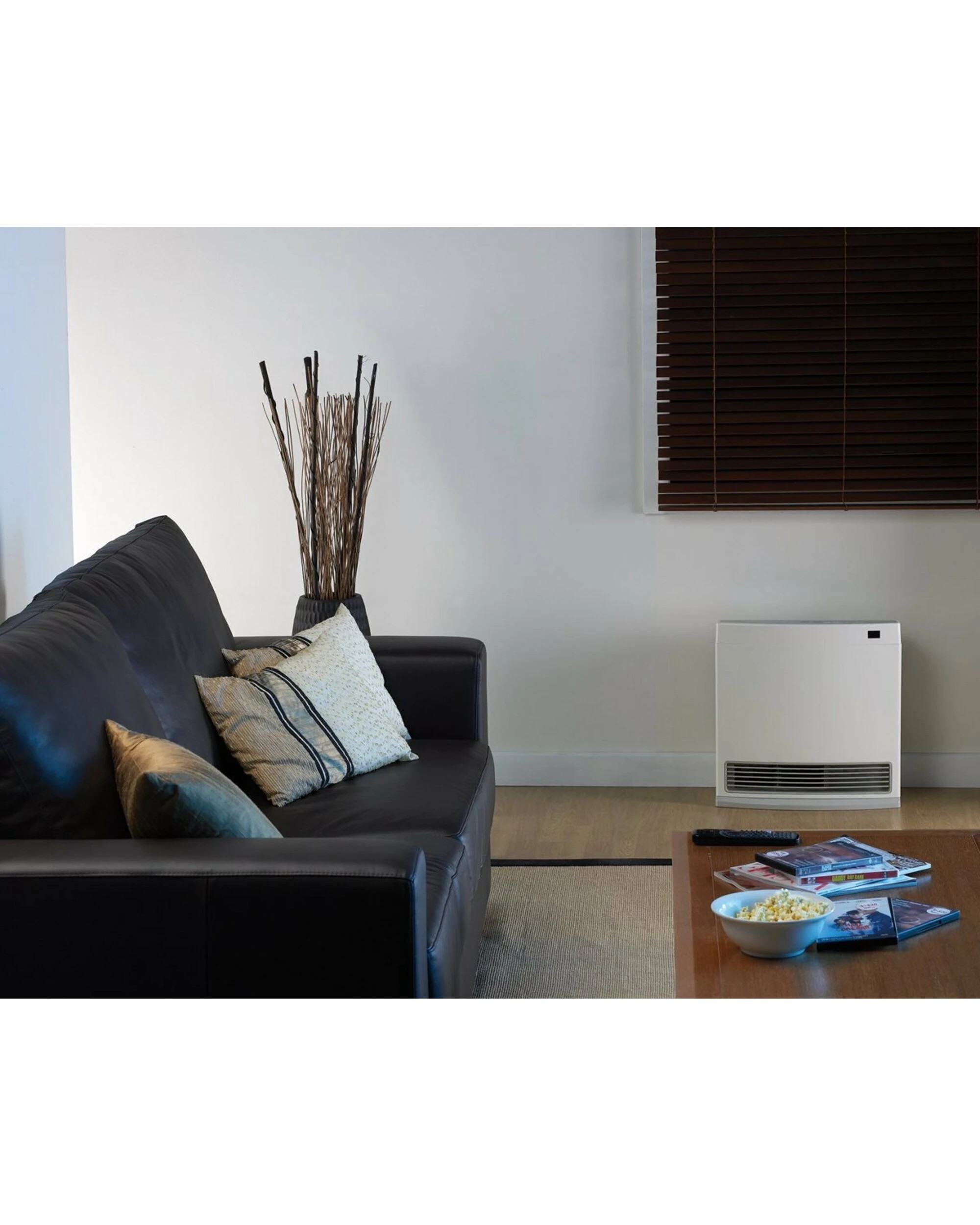 5 Rinnai Dynamo LPG Heater, 5 of 5