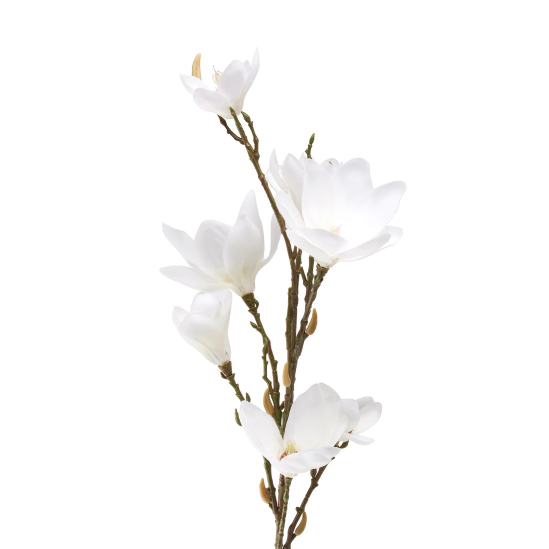 3 Artificial Magnolia Stem, 3 of 5