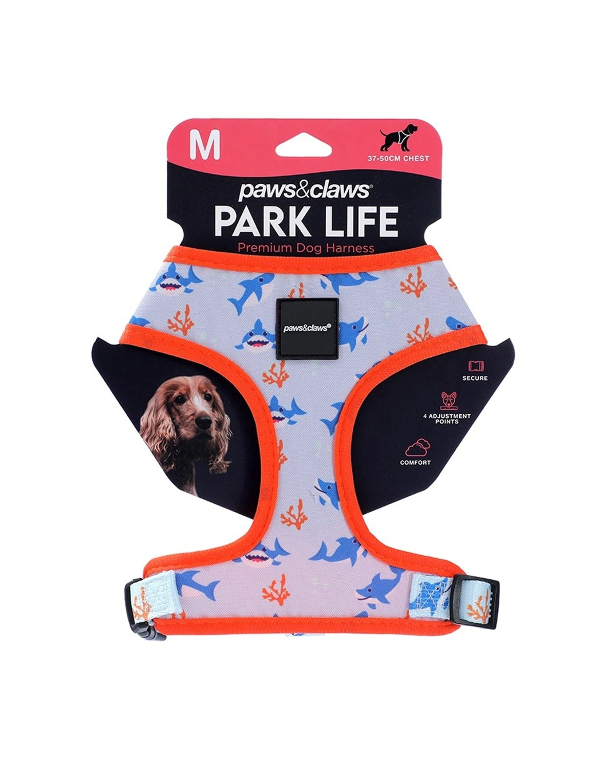 2 Paws & Claws 3x 4pc Park Life Printed Pet Dog Harness Set Medium 37-50cm - Assorted, 2 of 7