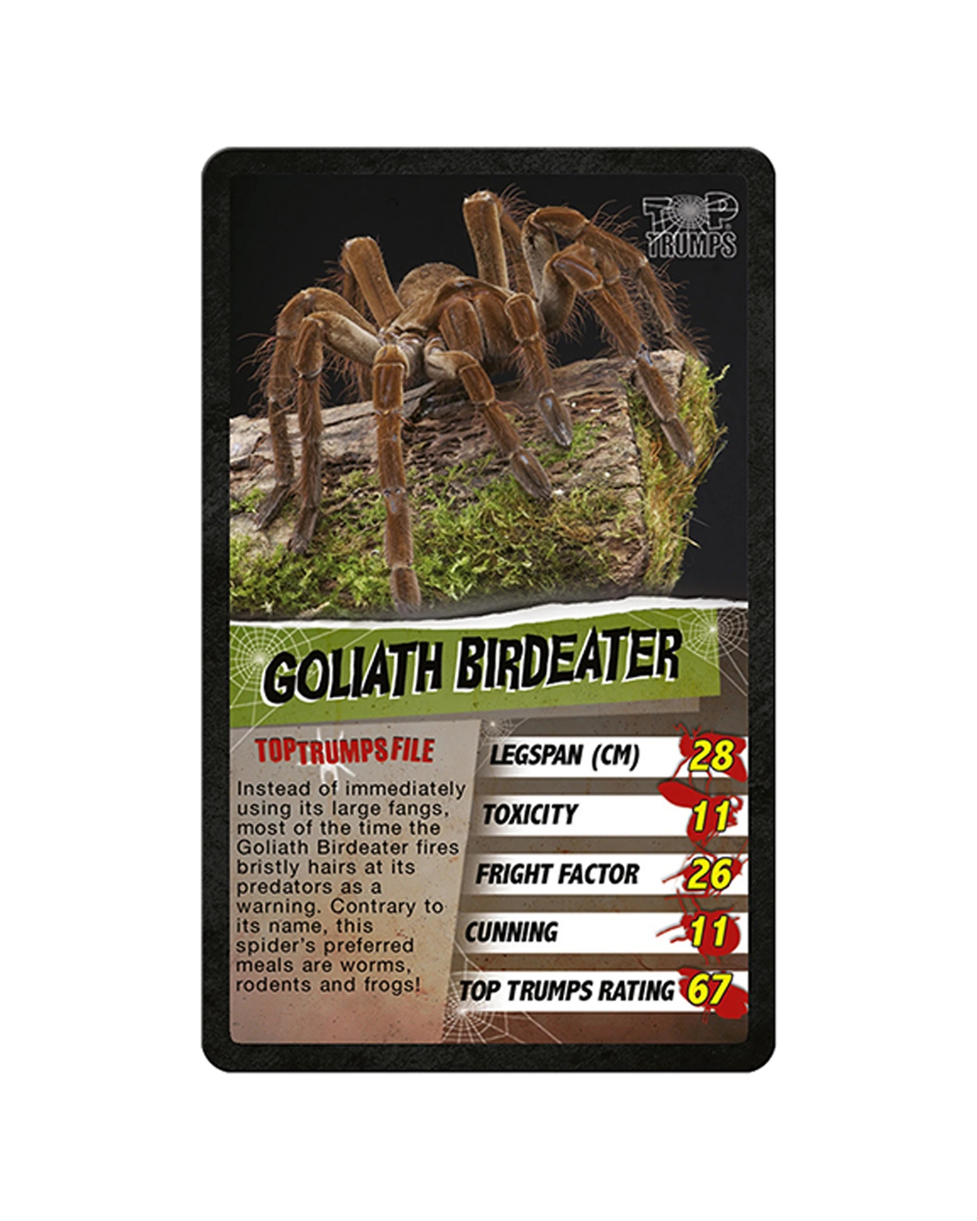 4 Top Trumps Spiders Playing Card Game Collection - Black, 4 of 4