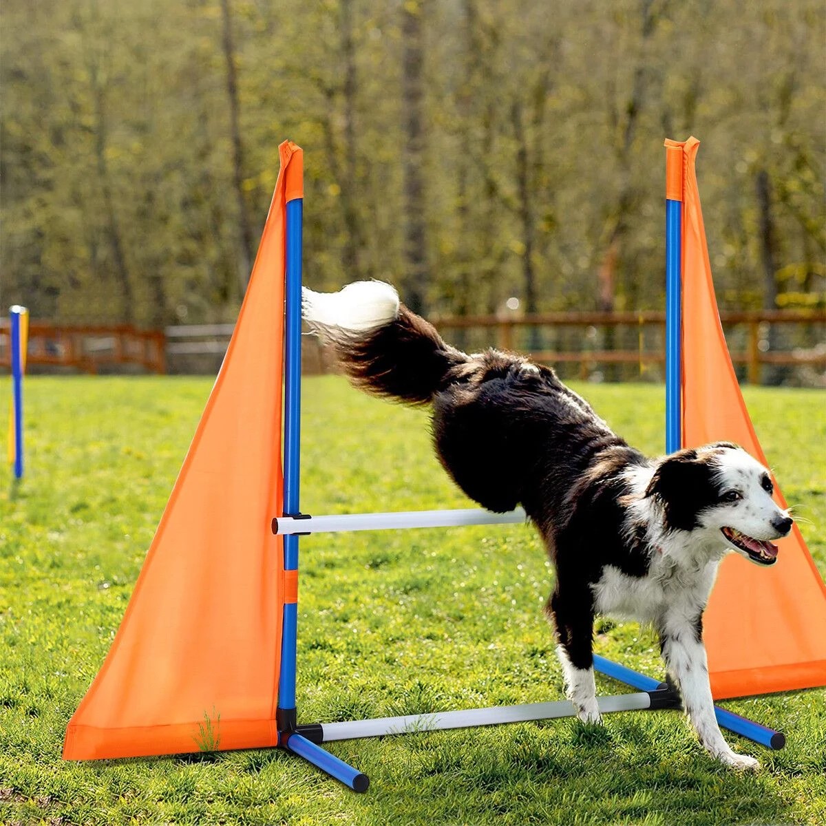 3 Pet Scene Dog Agility Equipment Obstacle Training Course, 3 of 5