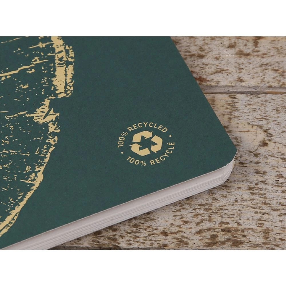 4 Clairefontaine Forever A5 Notebook Ruled 96 Page Green, 4 of 5
