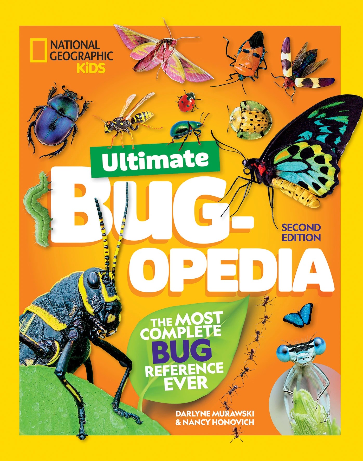 1 National Geographic Kids: Ultimate Bug-0pedia Second Edition by  Darlyne Murawski and Nancy Honovich - Book, 1 of 7