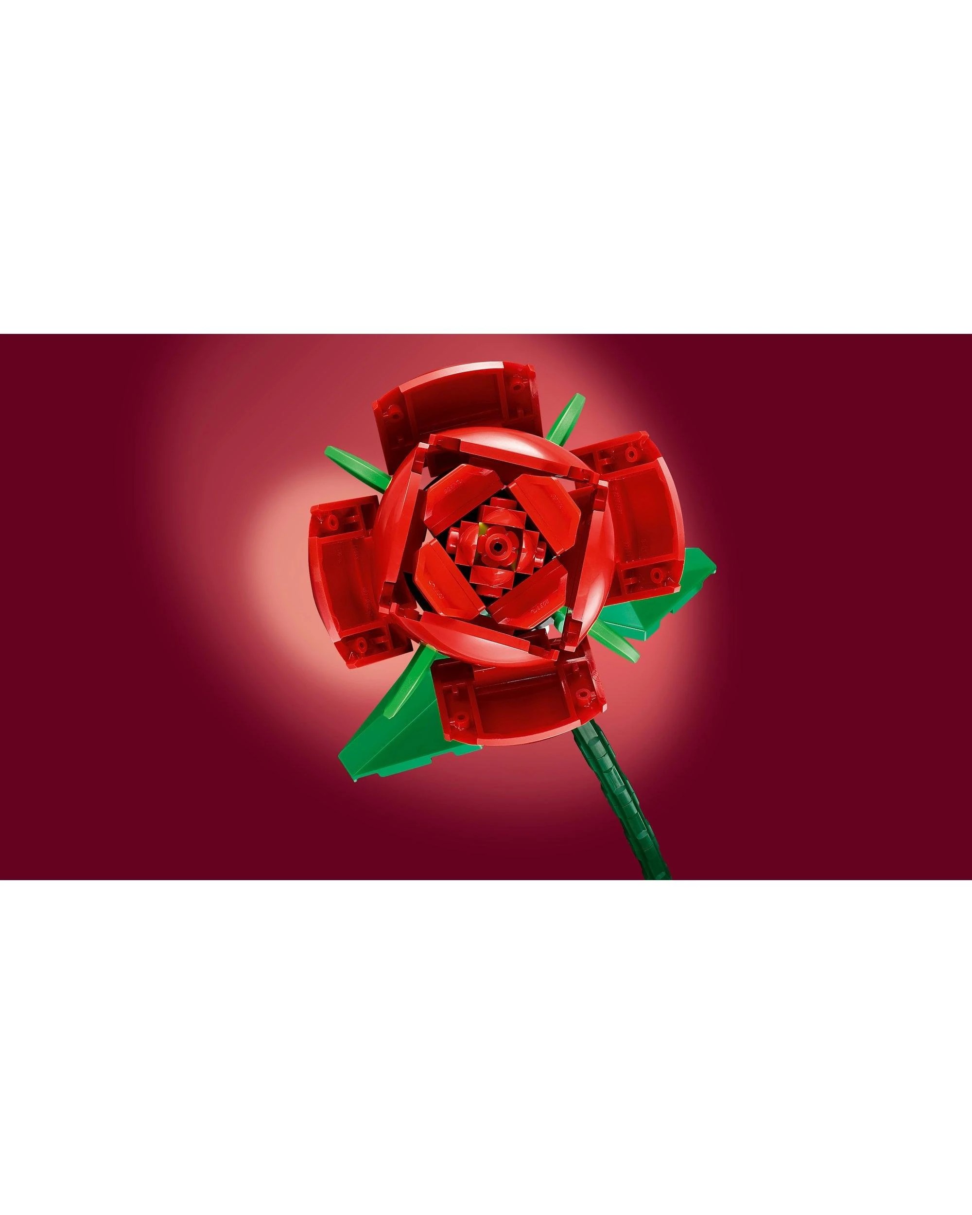 6 LEGO Botanicals: Roses - 40460, 6 of 9