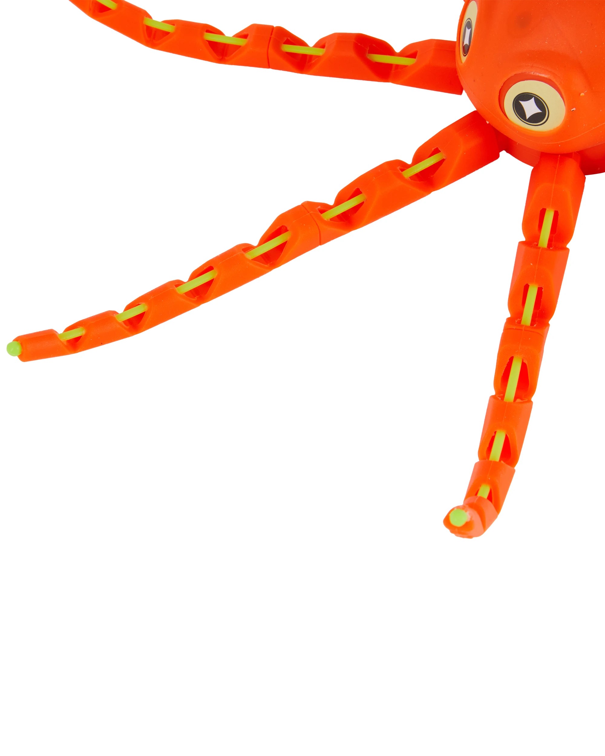 6 Octopus, 6 of 9