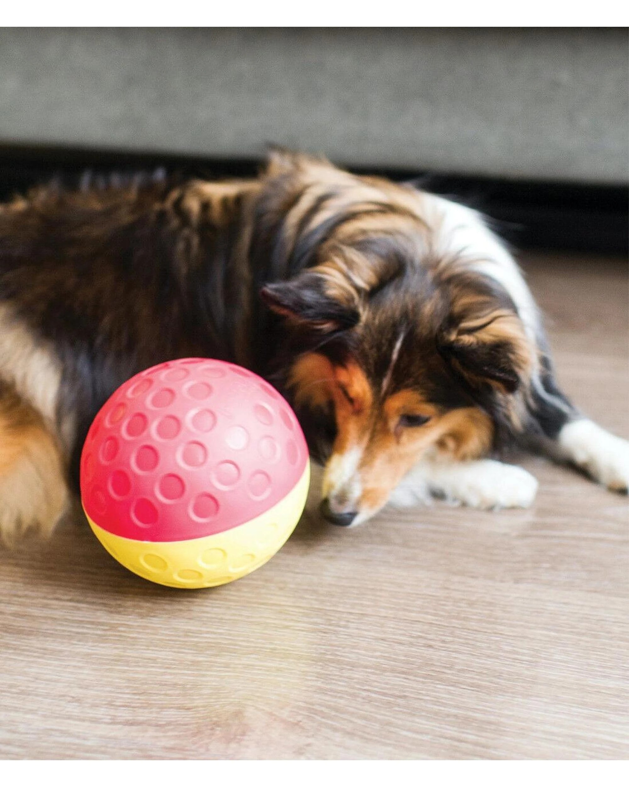 9 Outward Hound Nina Ottosson Treat Tumble Interactive Play Dog Toy Red Large - Red, 9 of 9