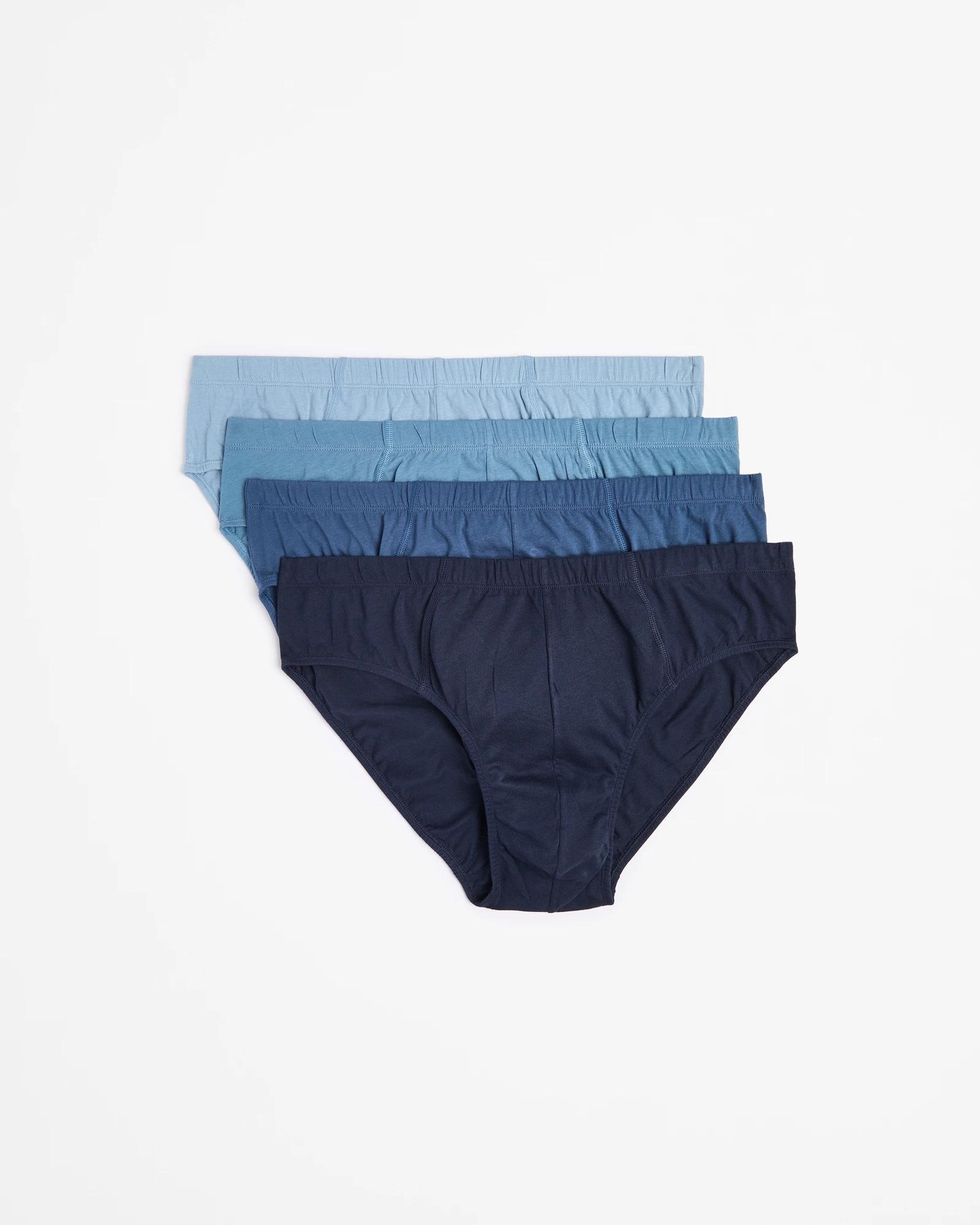 1 Plus Size 4 Pack Tunnel Briefs - Maxx BLUE, 1 of 2