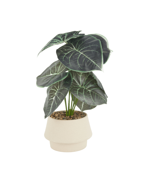 Artificial Alocasia in Pot