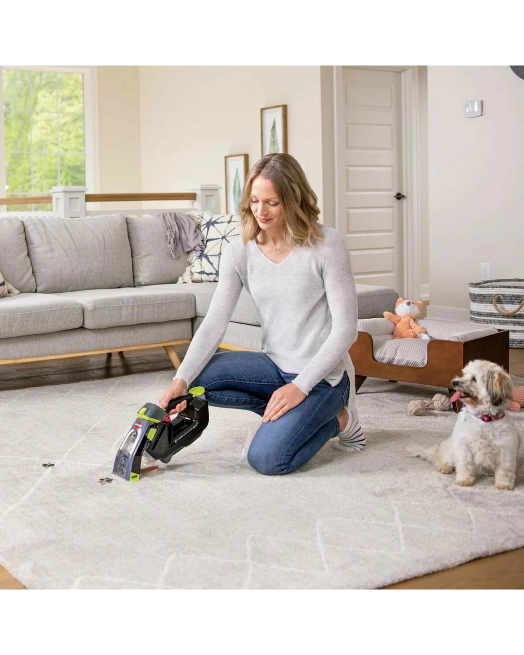 4 Bissell Stain Eraser Pet, 4 of 5