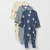 BEARS INDIGO