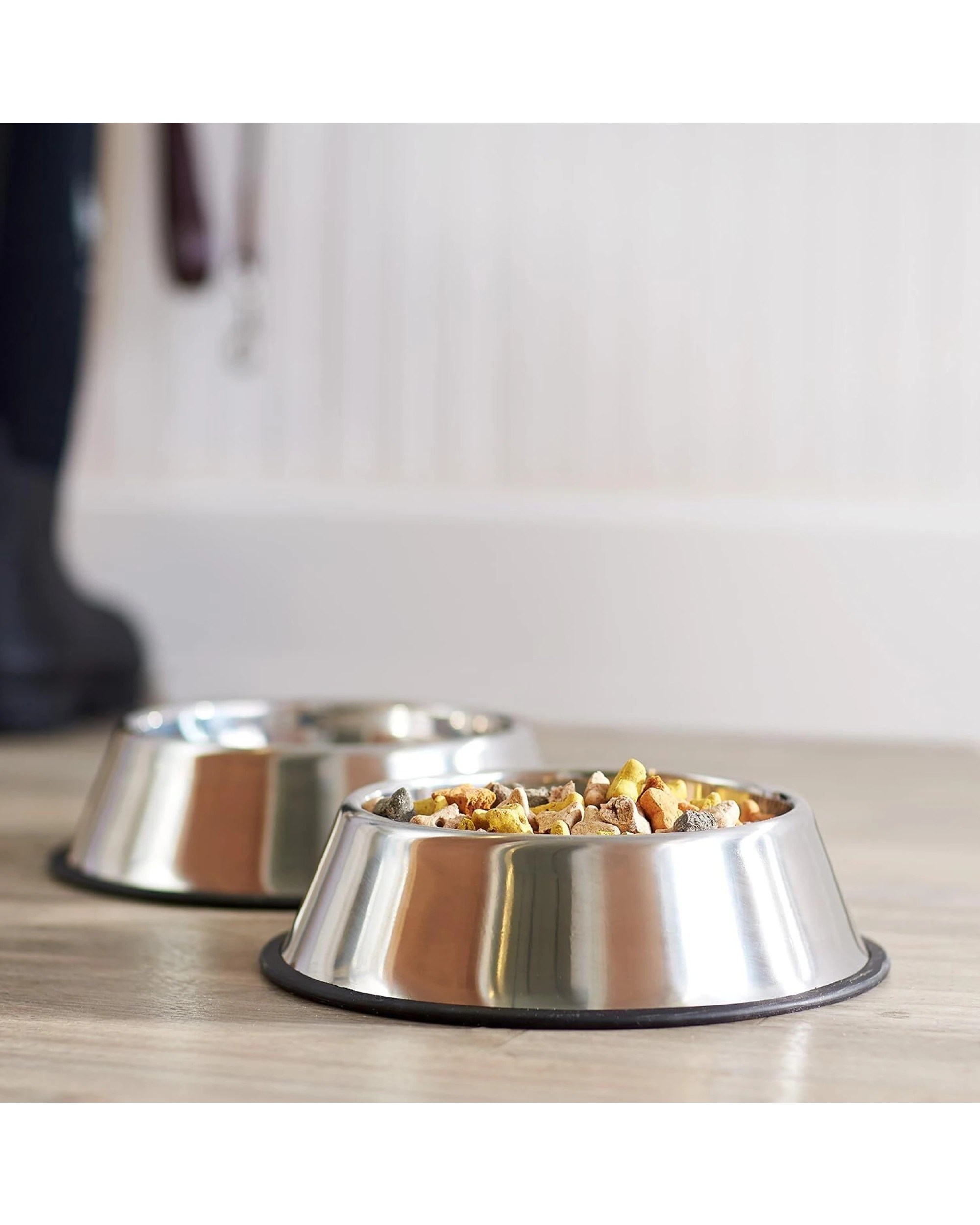 4 BR Pets Stainless Steel Dog Bowl for Food and Water, 4 of 5