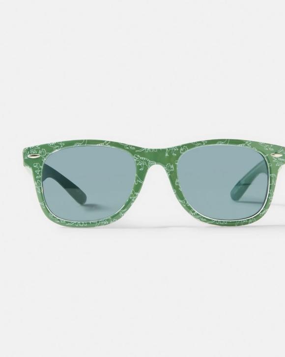Kids Dino Print Sunglasses