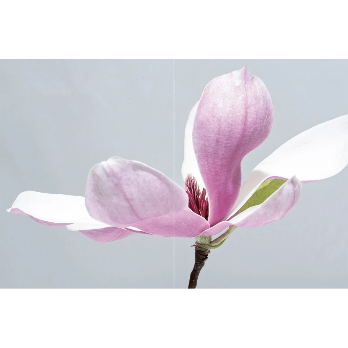 3 Flower - Book, 3 of 6