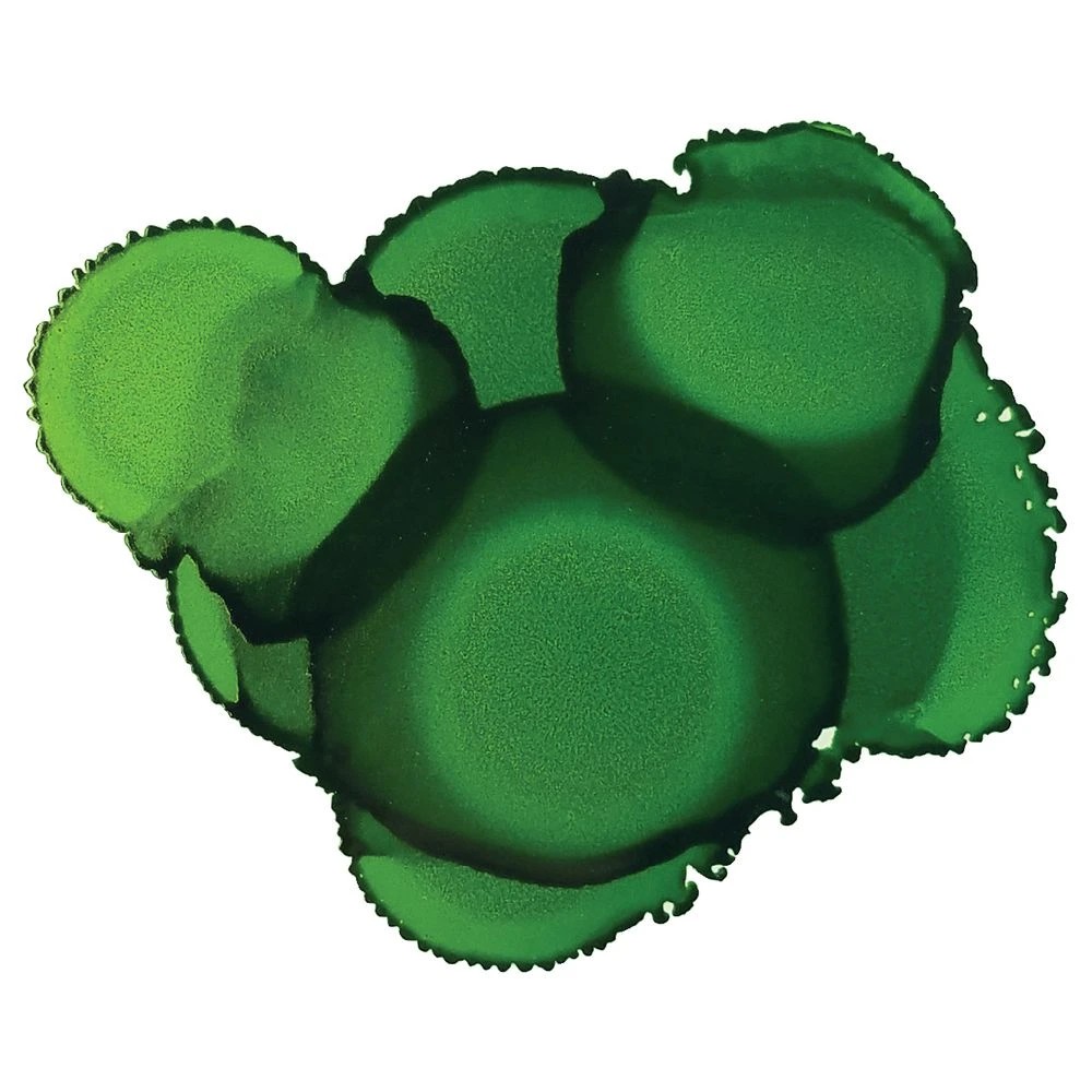 3 Jacquard Pinata Ink 14mL Lime Green, 3 of 3