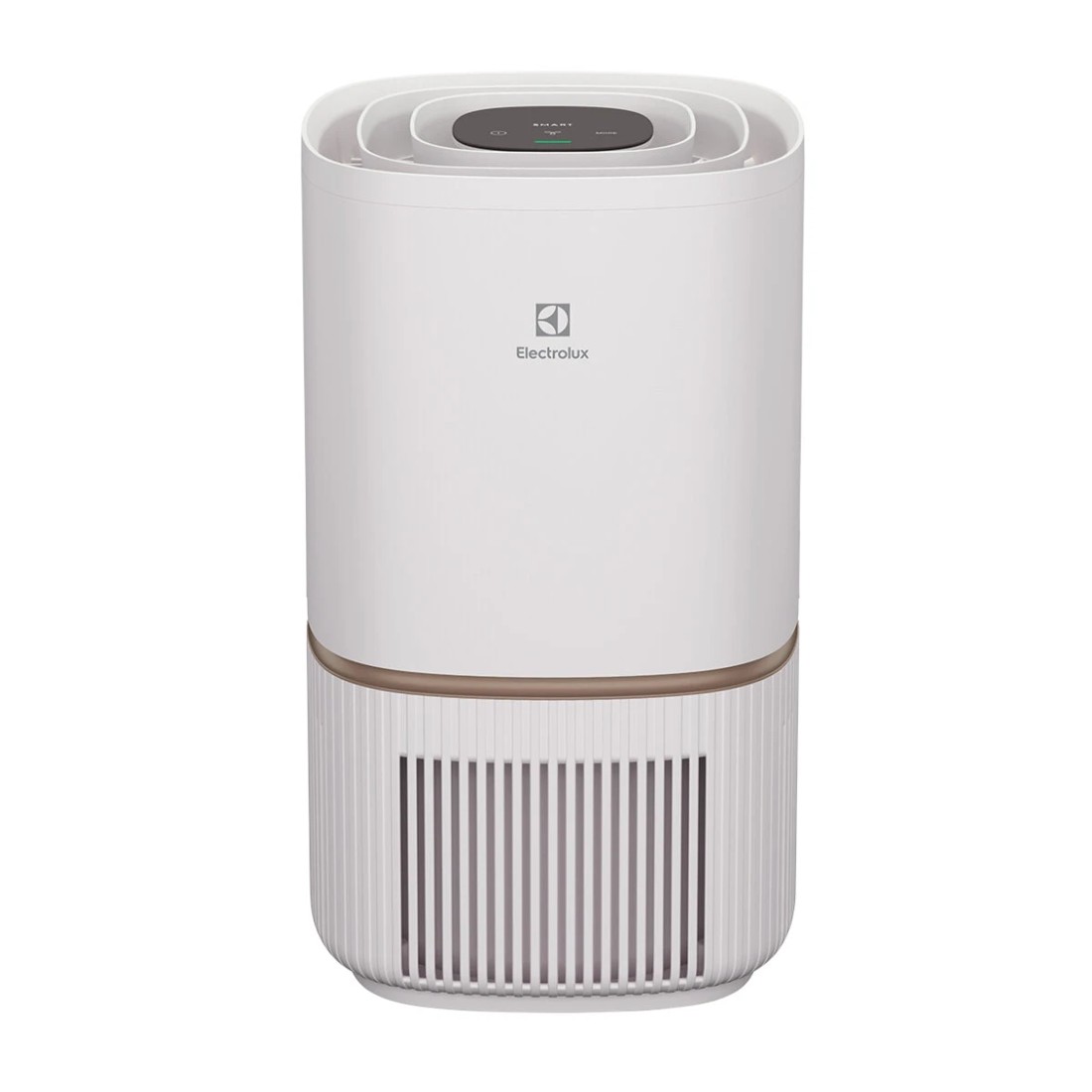 1 Electrolux UltimateHome 300 Air Purifier, 1 of 5