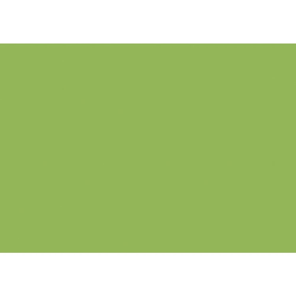 1 Liviano A1 Colour Card 300gsm Grass, 1 of 1