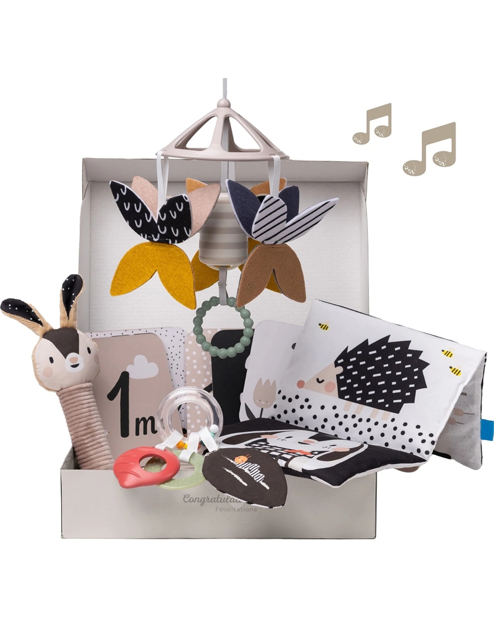 2 Taf Toys Newborn and Gift Kit Sensory Development Kit - Multi, 2 of 2