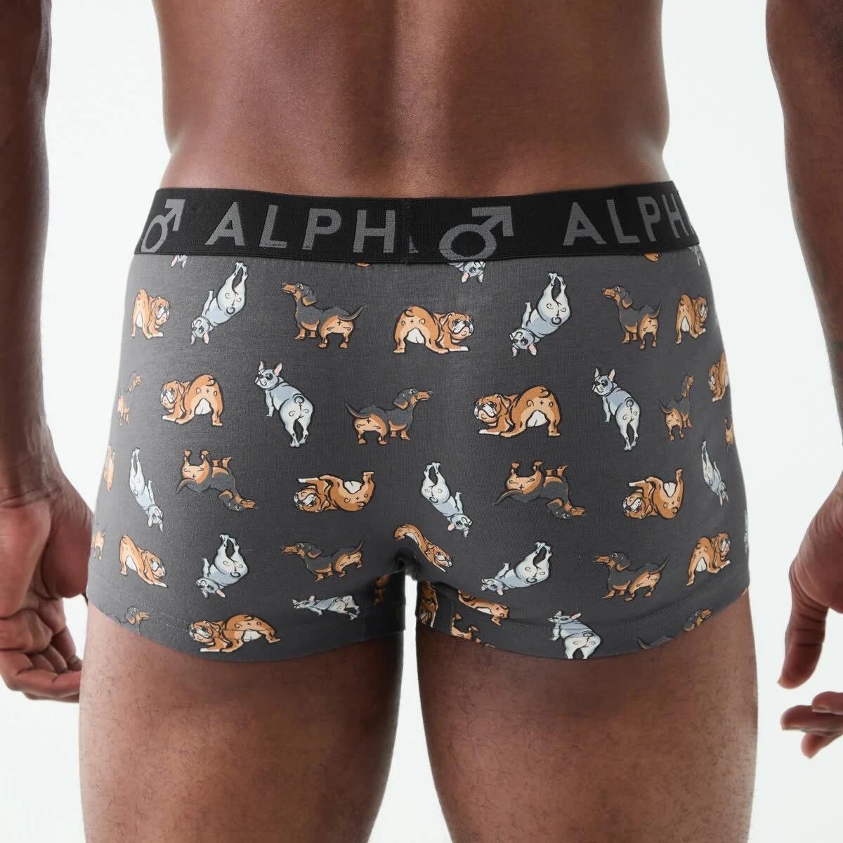 6 3 Pack Fly Front Print Trunks Hey Pups, 6 of 8
