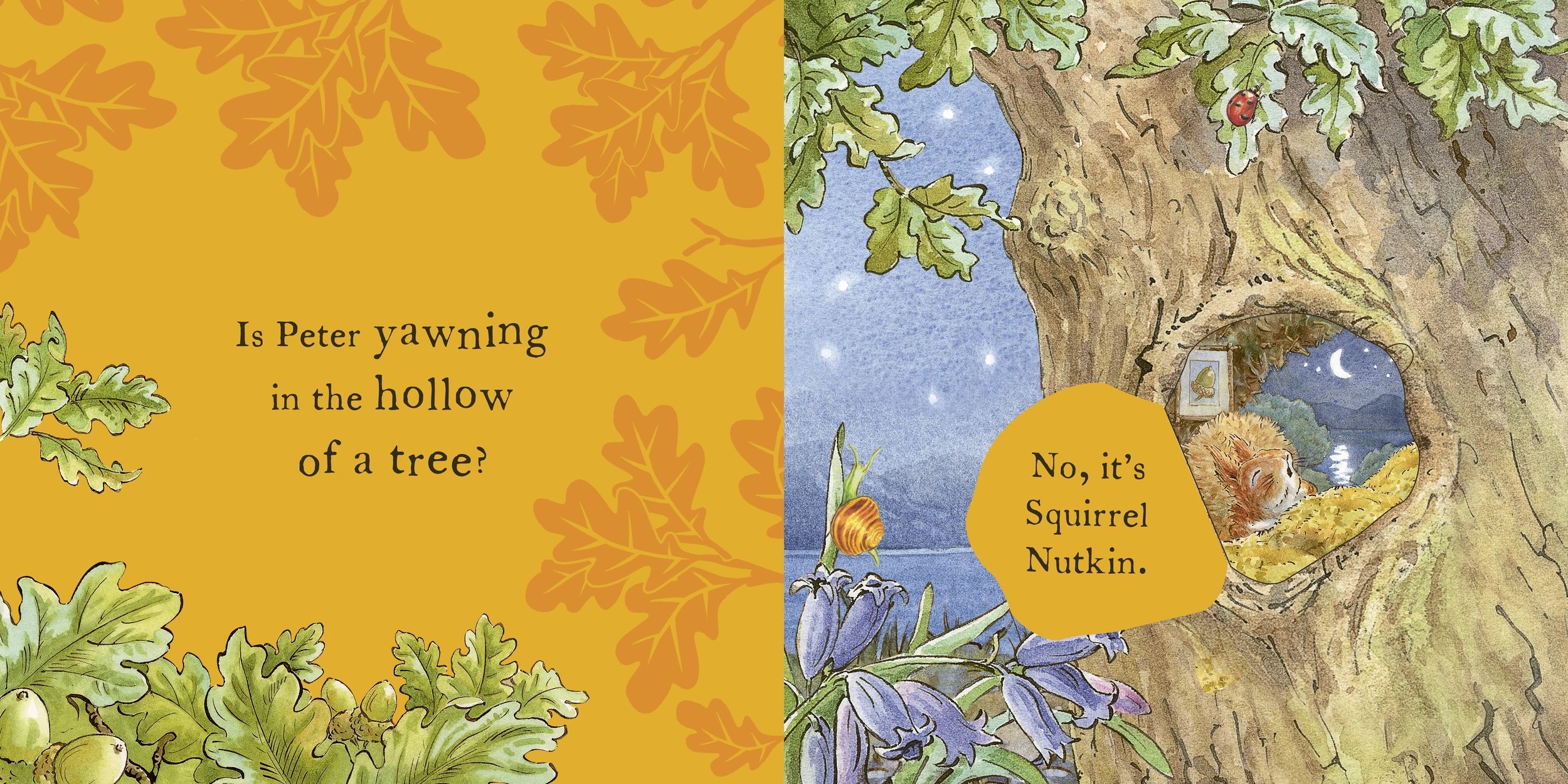 The World of Peter Rabbit: Peter's Bedtime - A Lift-the-Flap Book - Kmart