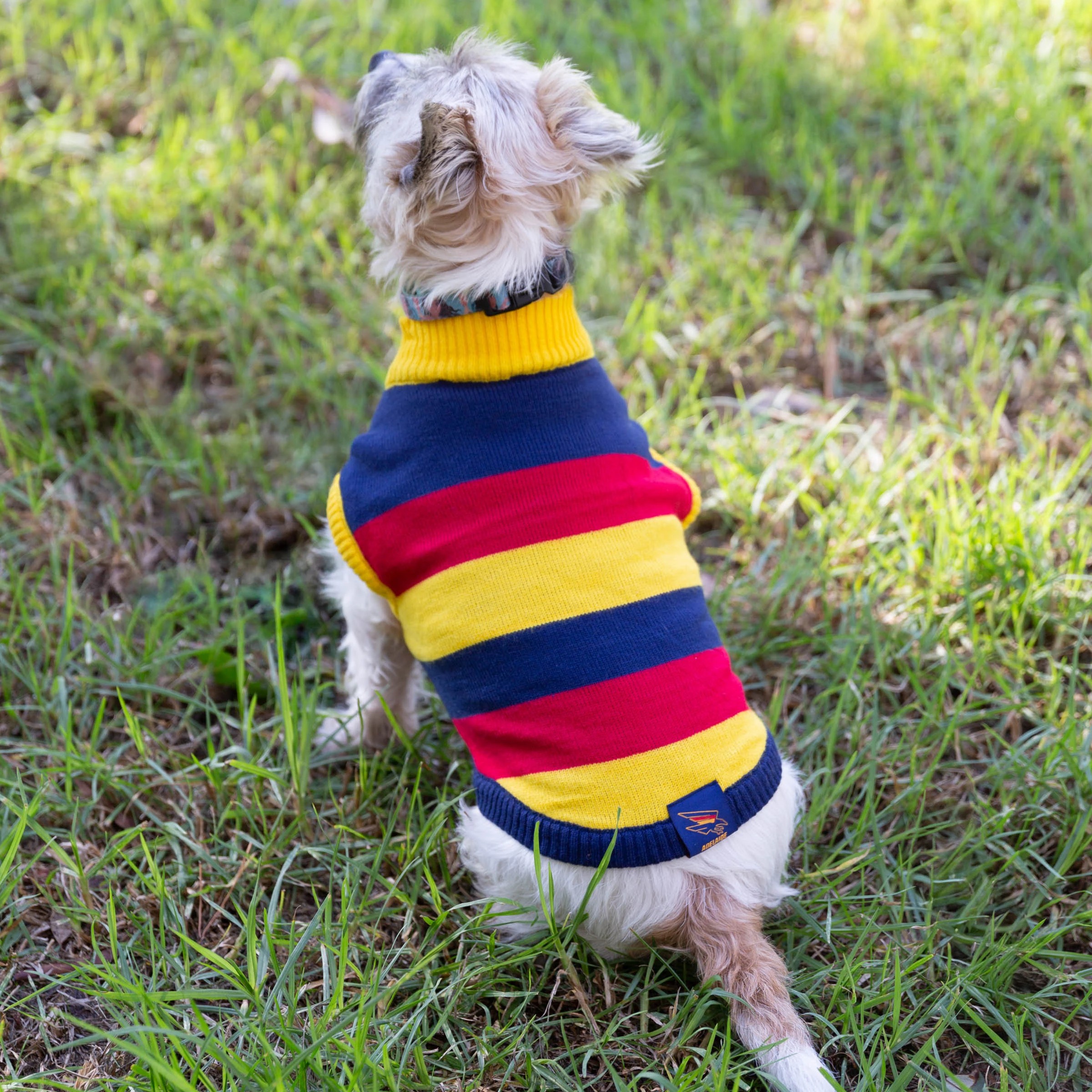 4 AFL Adelaide Crows Pet Jumper - Large, 4 of 4