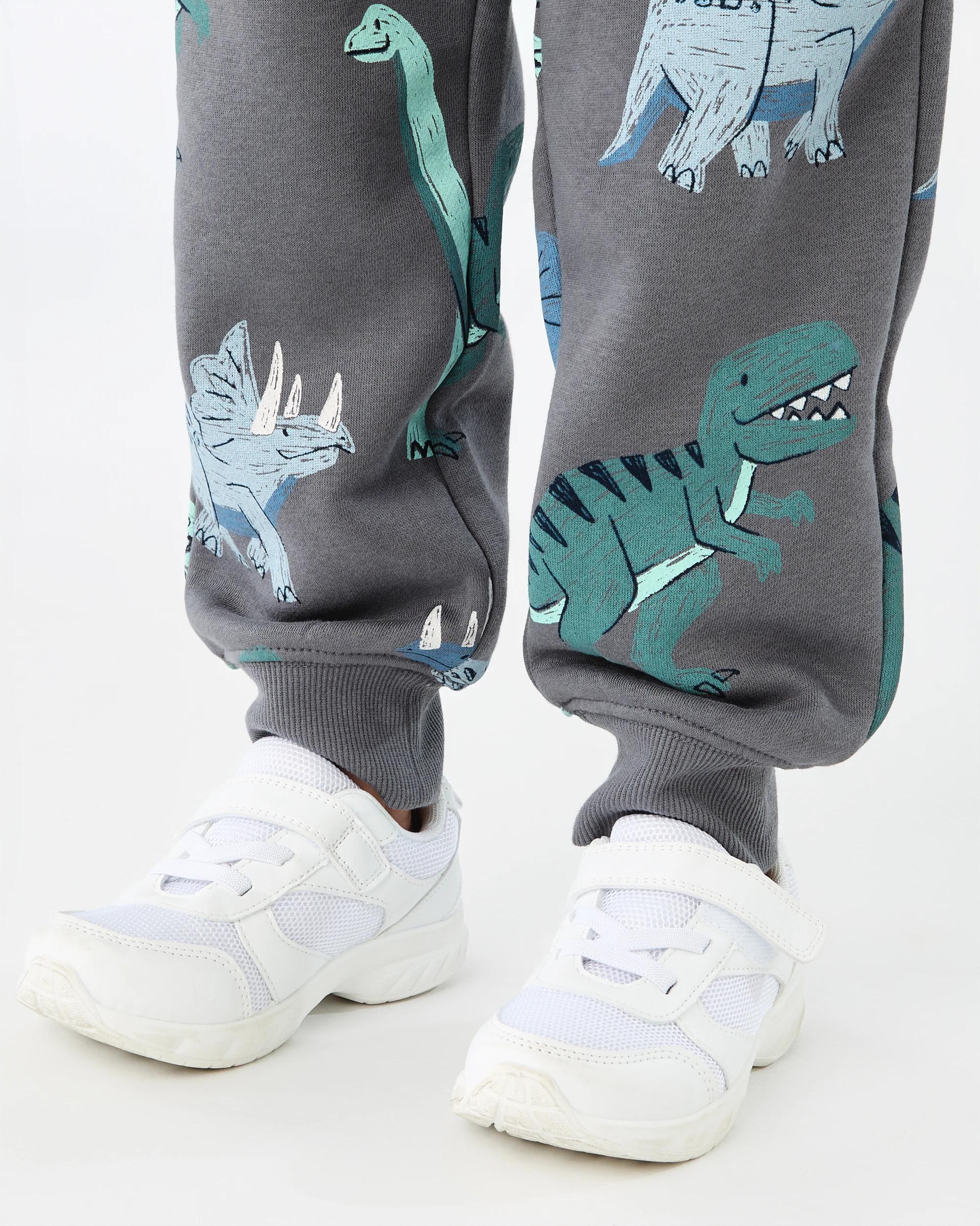 4 All Over Print Trackpants Gry Dino, 4 of 7
