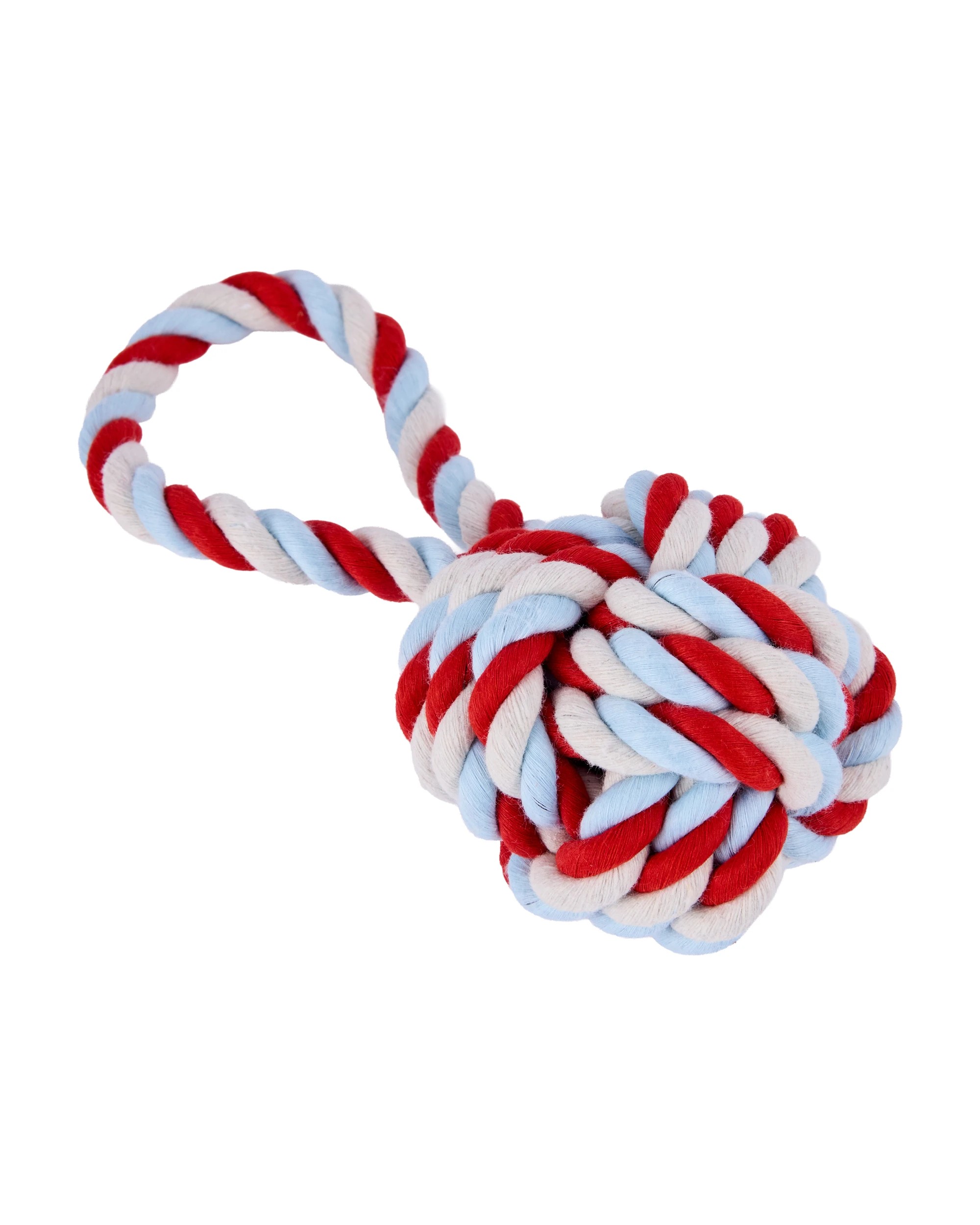 7 10 Pack Pet Toy Plush - Ocean, 7 of 9