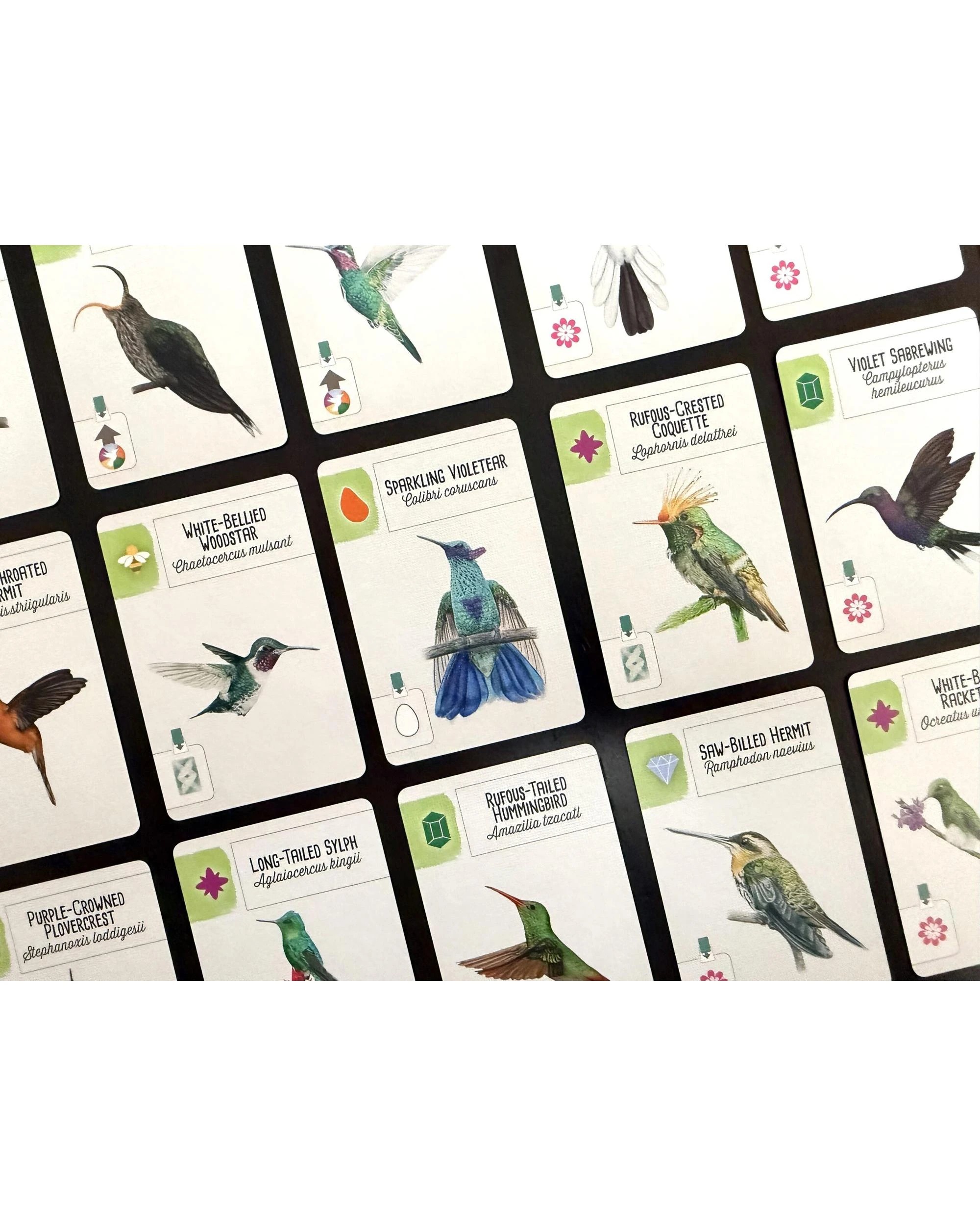 8 Wingspan Americas Expansion Board Game, 8 of 10