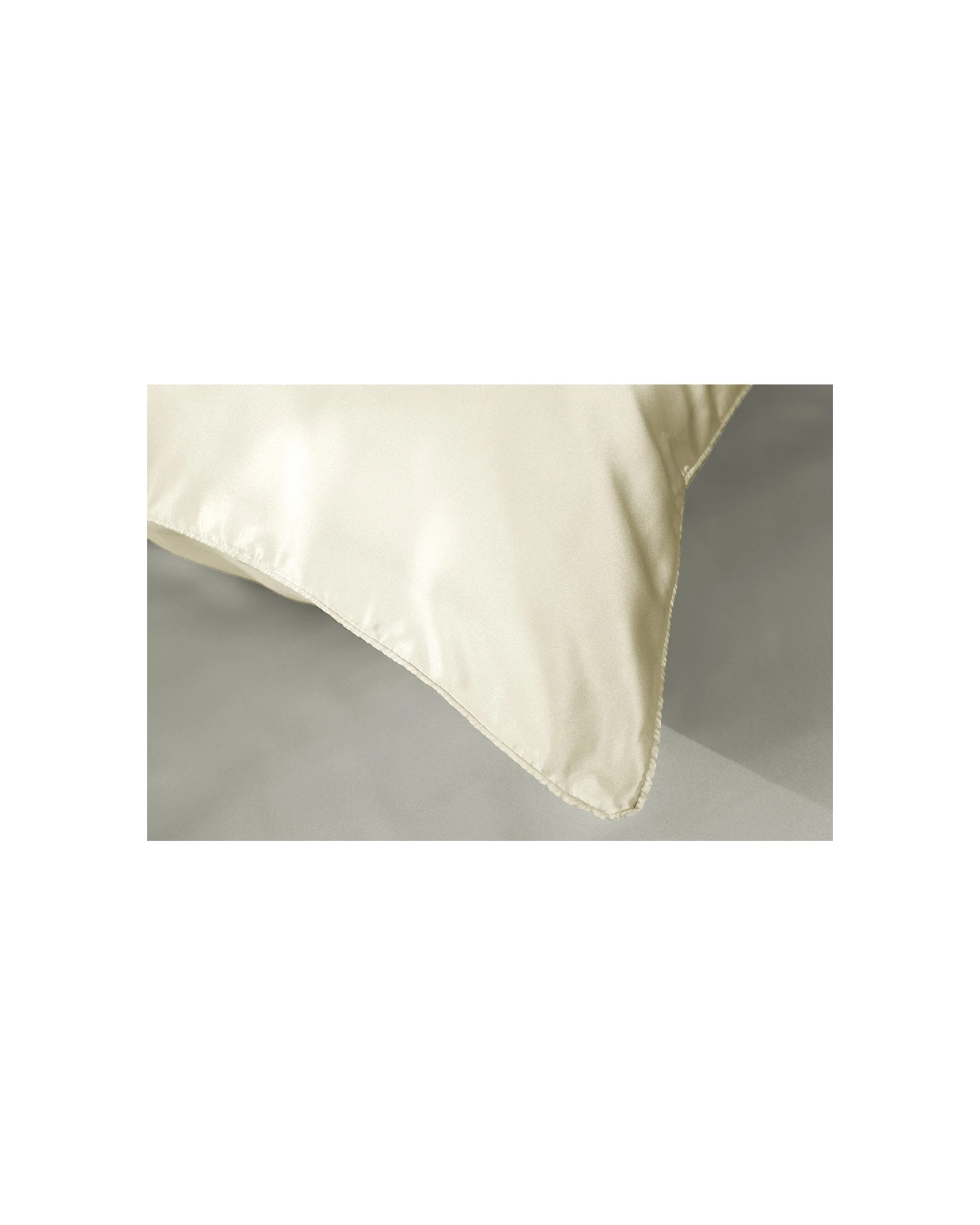 5 ARDOR Silk Pillow Case Mulberry Silk Frizz Reduction 51x76cm Pillowcase, 5 of 5