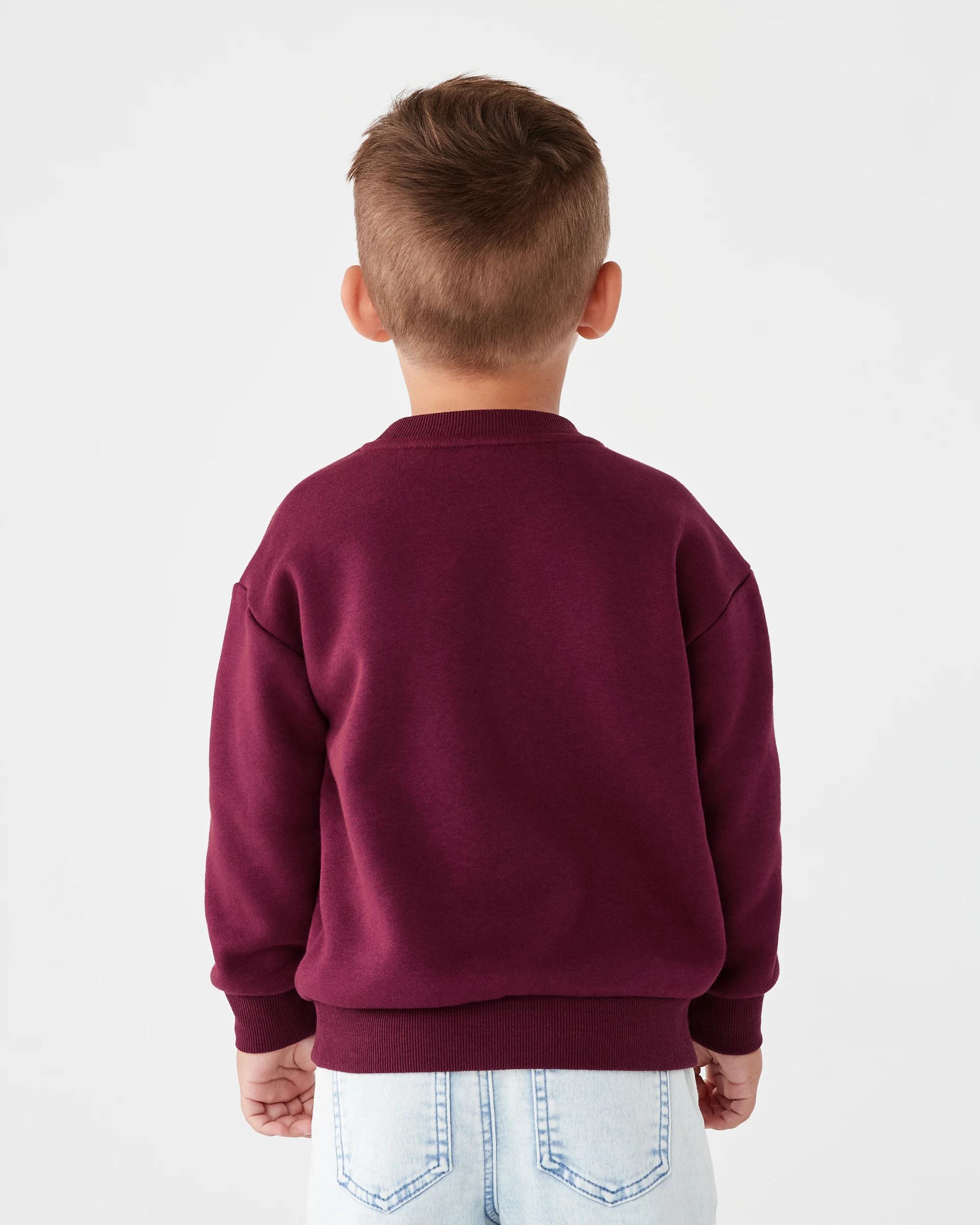 2 Print Crew Neck Sweatshirt Burg Vars, 2 of 7