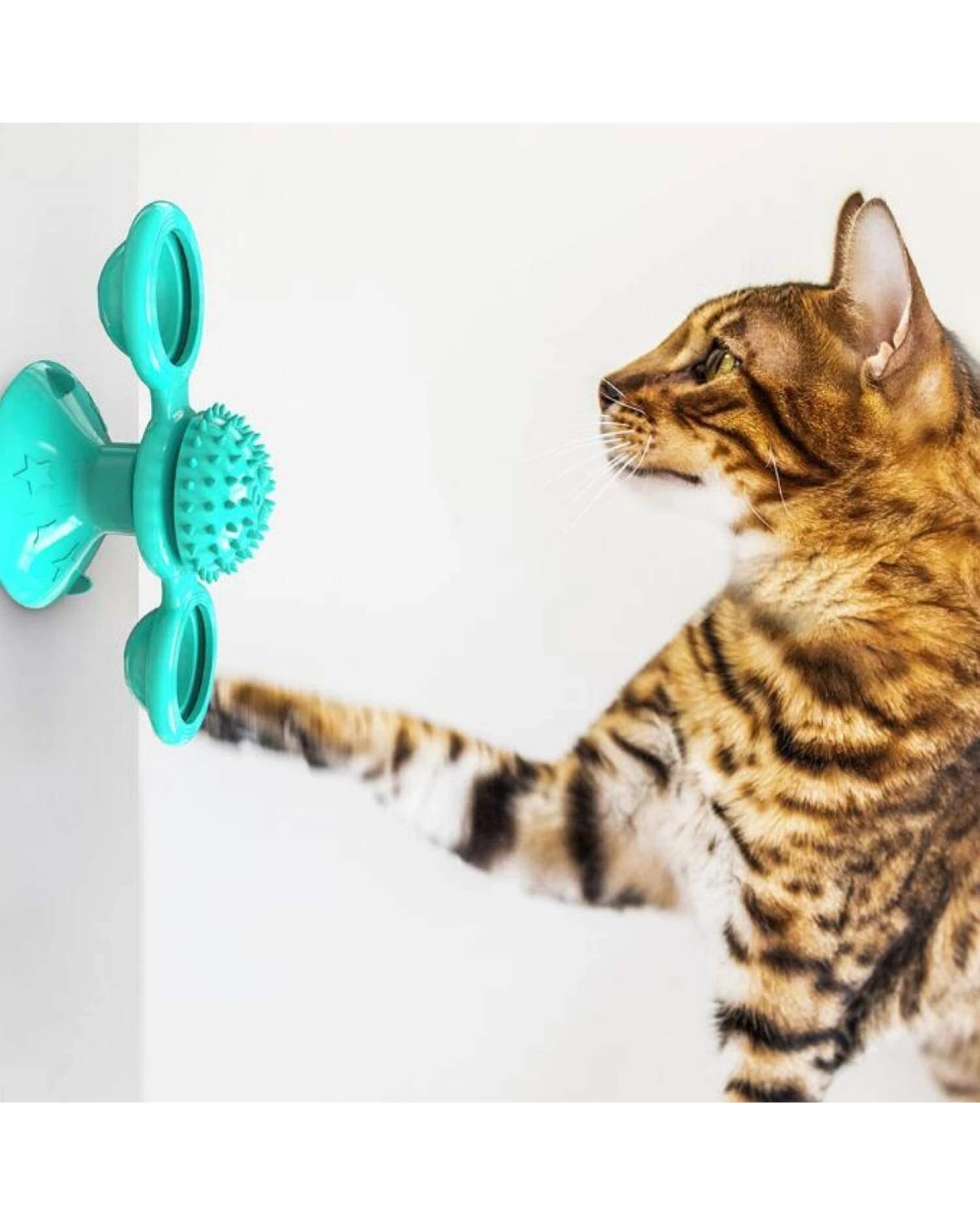 3 BR Pets Windmill Cat Toy with Interactive Spinning and Two Compartments, 3 of 4