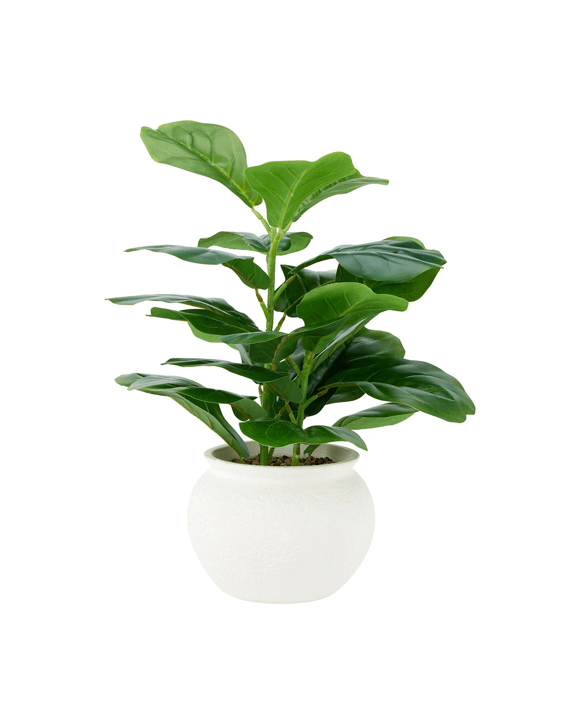 Artificial Fiddle Fig Plant in Pot