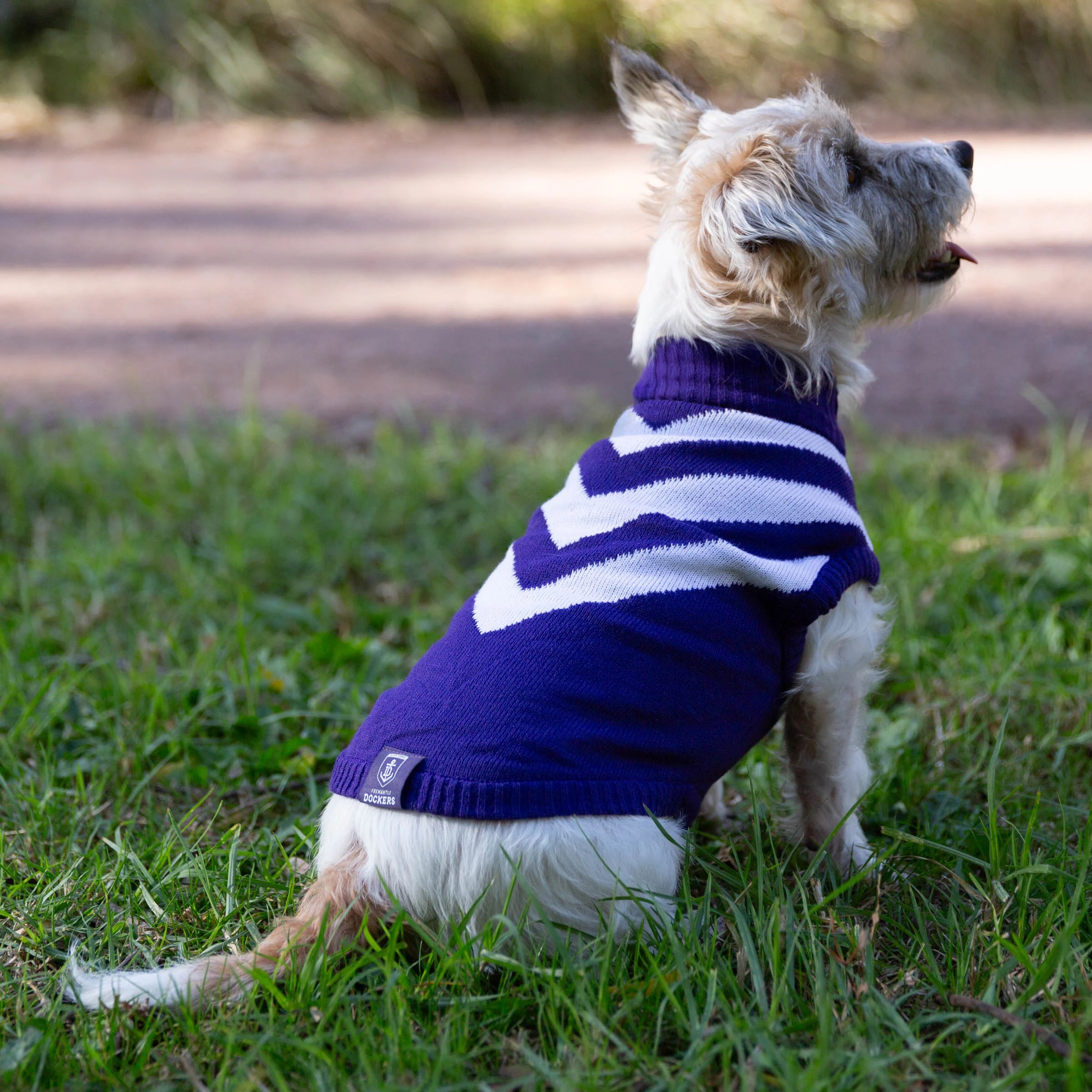 4 AFL Fremantle Dockers Pet Jumper - Small, 4 of 4