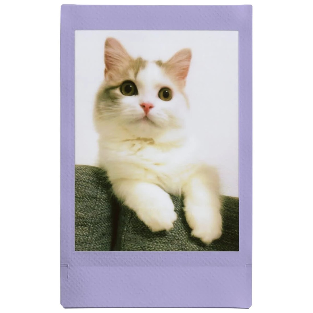 3 10 Pack Instax Mini Soft Lavender Film, 3 of 3