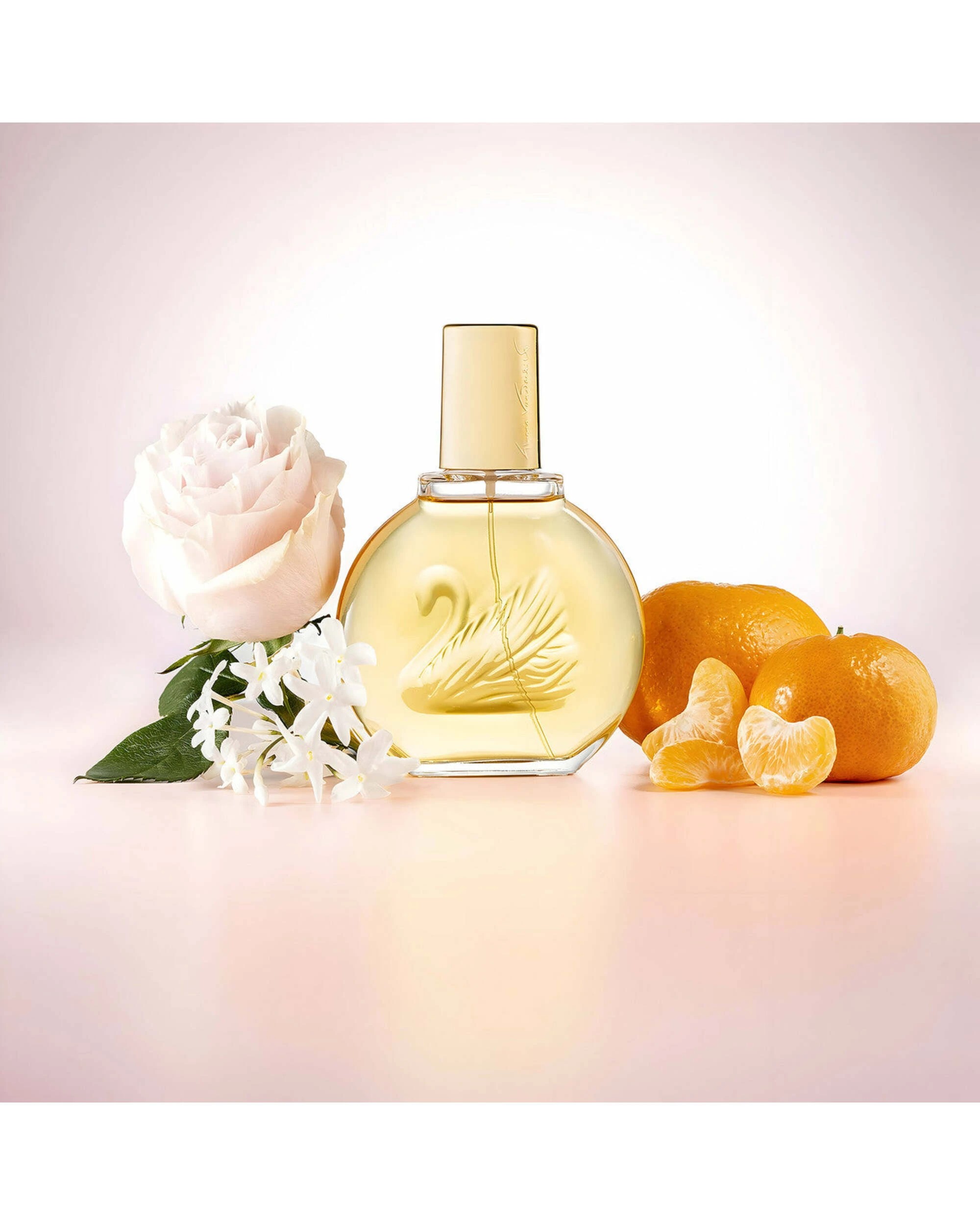 1 Gloria Vanderbilt Vanderbilt 100ml Eau de Toilette, 1 of 2