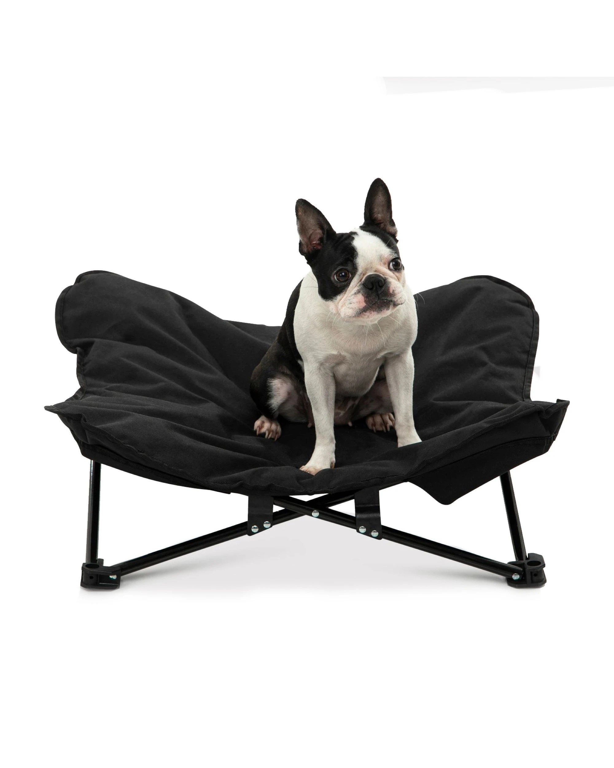 3 Charlie's Butterfly Foldable Outdoor Camping Dog Bed Medium - Black, 3 of 9
