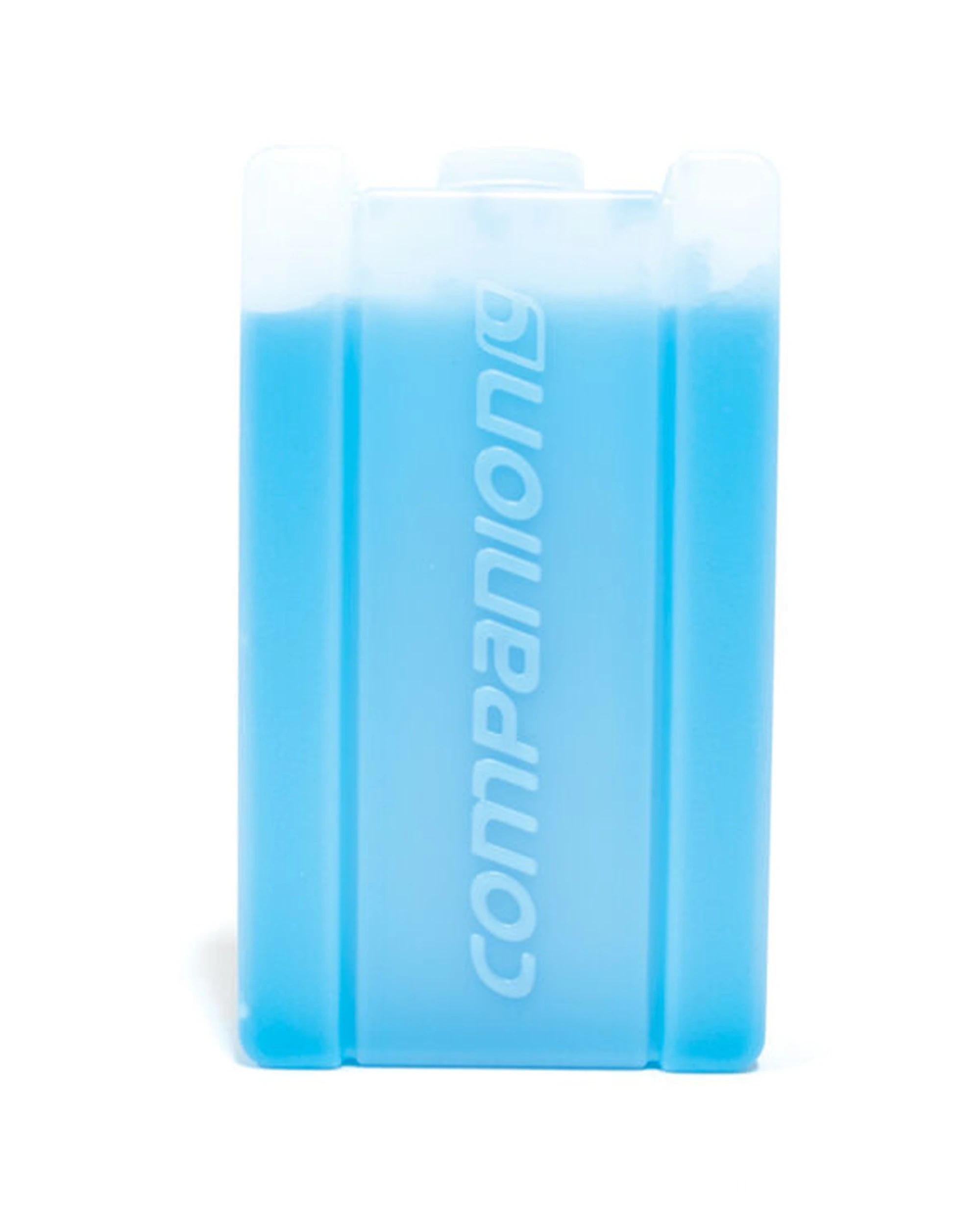 2 Companion 5PK 350ml Ice Travel Cooler Brick Medium Leak Proof Reusable BPA 16x9cm - Blue, 2 of 3