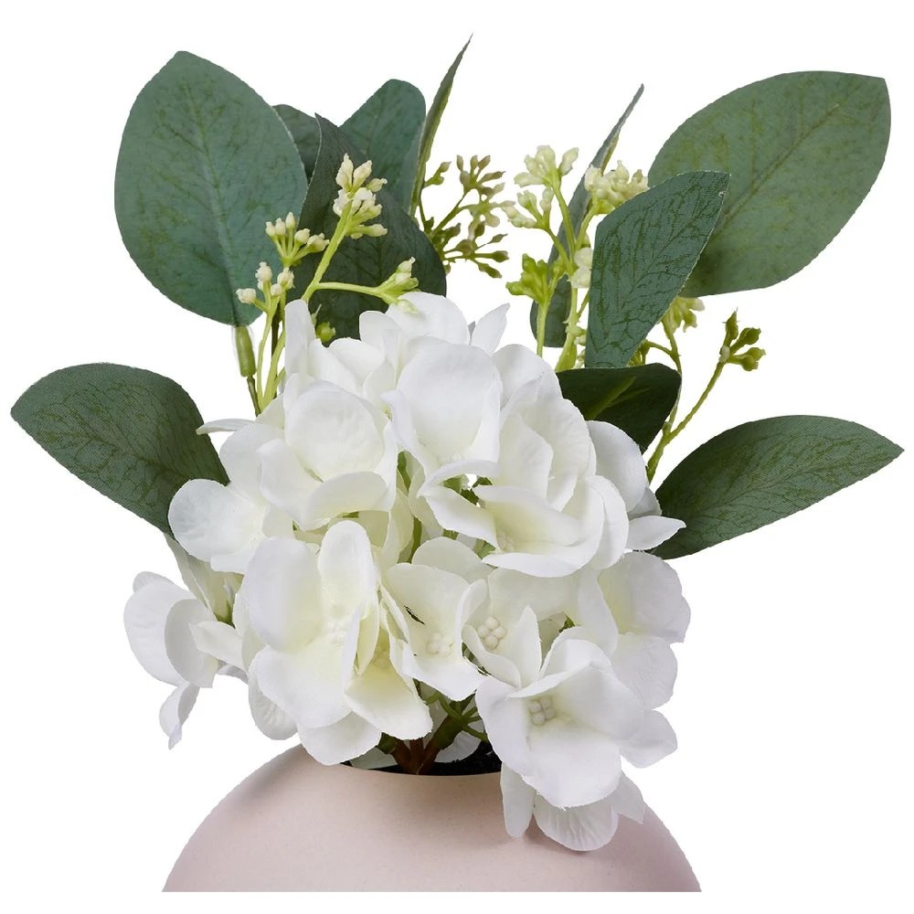 2 Otto Hydrangea in Round Pot, 2 of 3